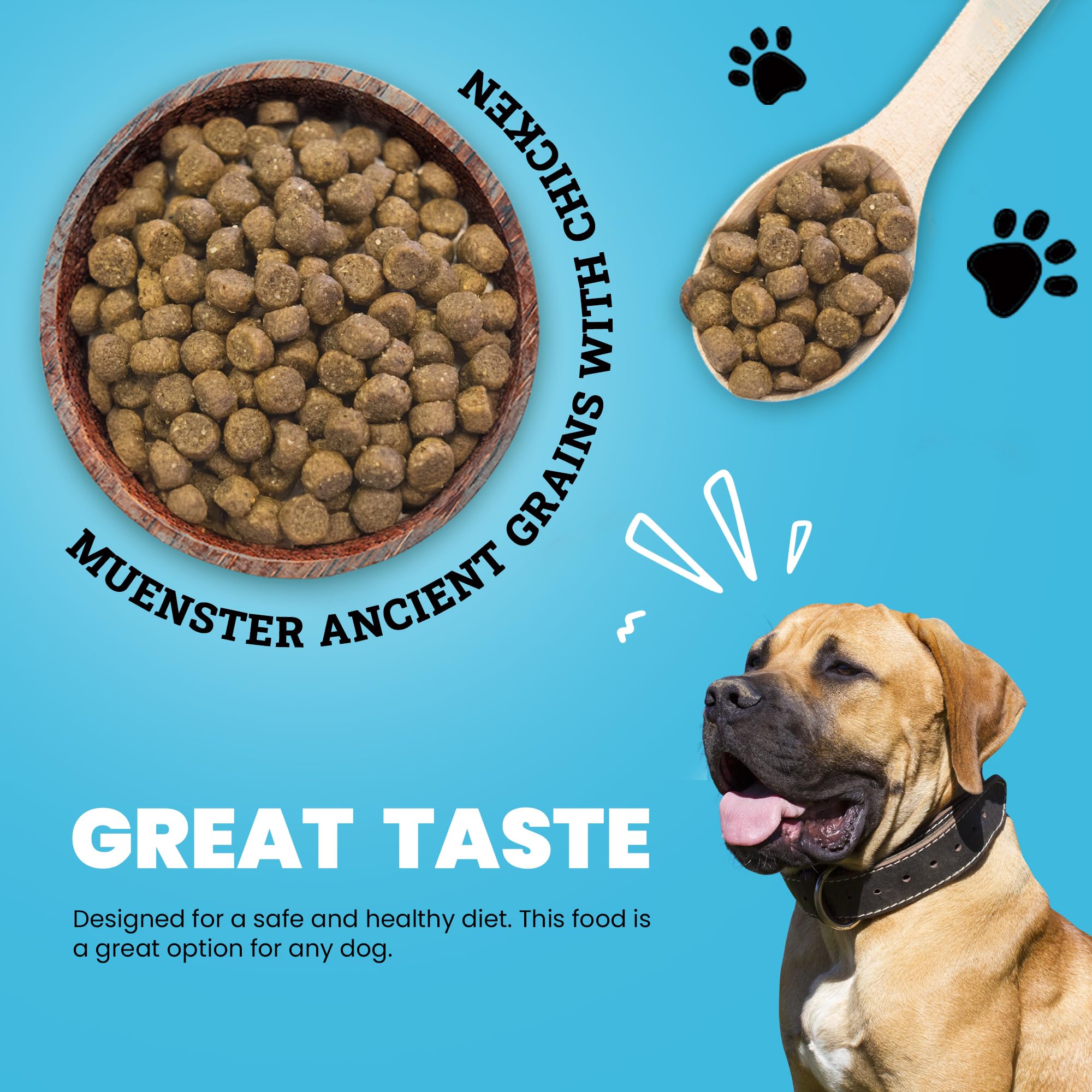Muenster Ancient Grains Chicken Dry Dog Food, 4lb - Gluten-Free, High Protein, Digestive Support
