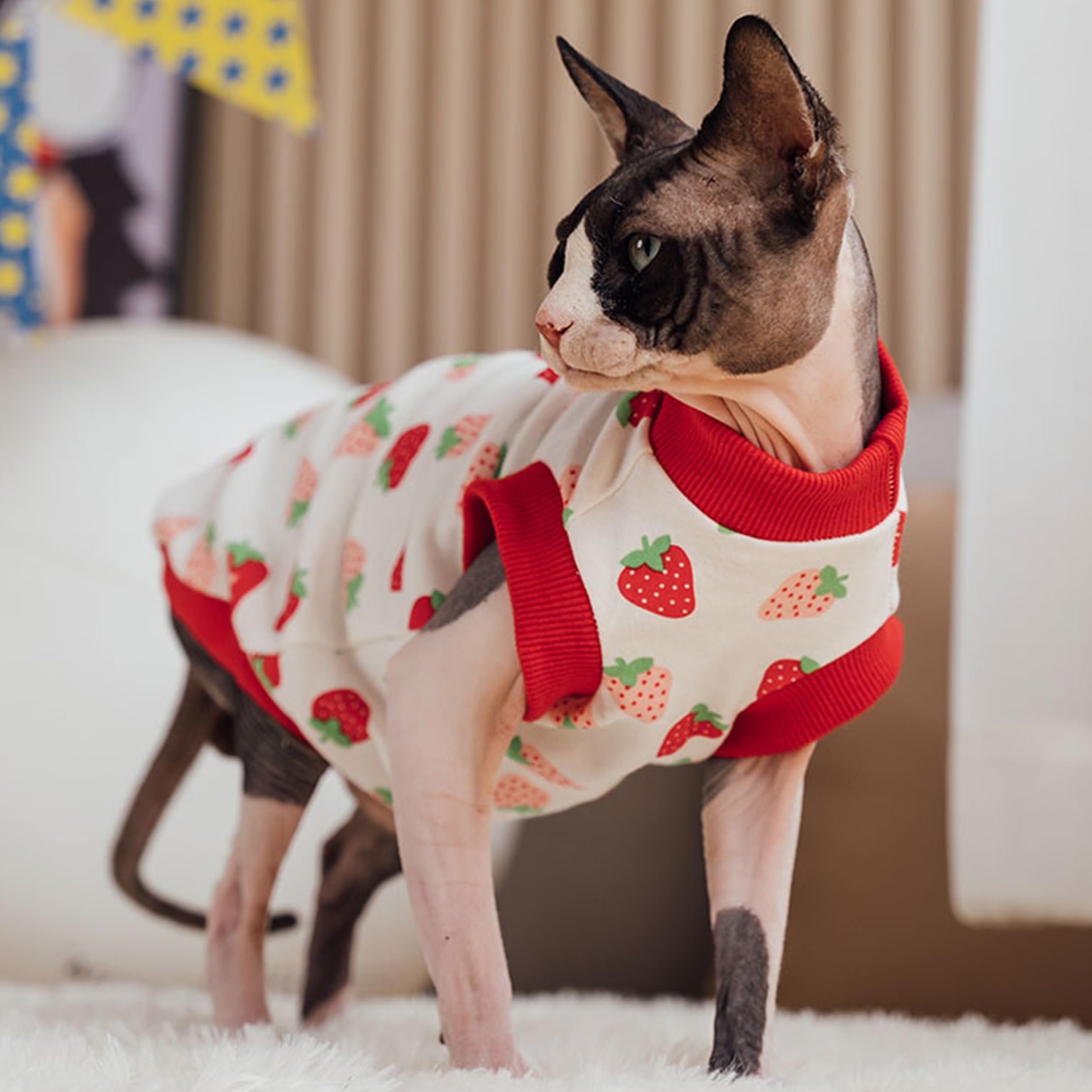 Pumyporeity Sphynx Cat Clothes: Stretchy Sweater, Soft Hairless Shirt, Pullover Pajamas, Turtleneck For Cornish Rex, Devon Rex -