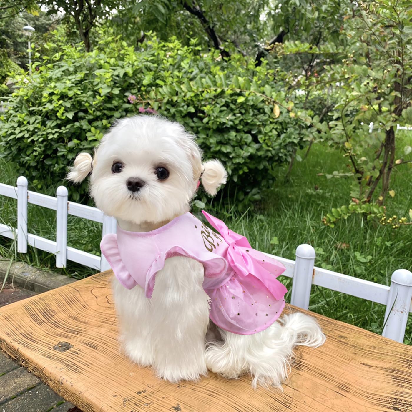 Otunrues Dog Birthday Dress Tulle Dress With Big Bowknot Princess Birthday Outfit Girls Doggie Dresses Clothes For Small Dog Cat