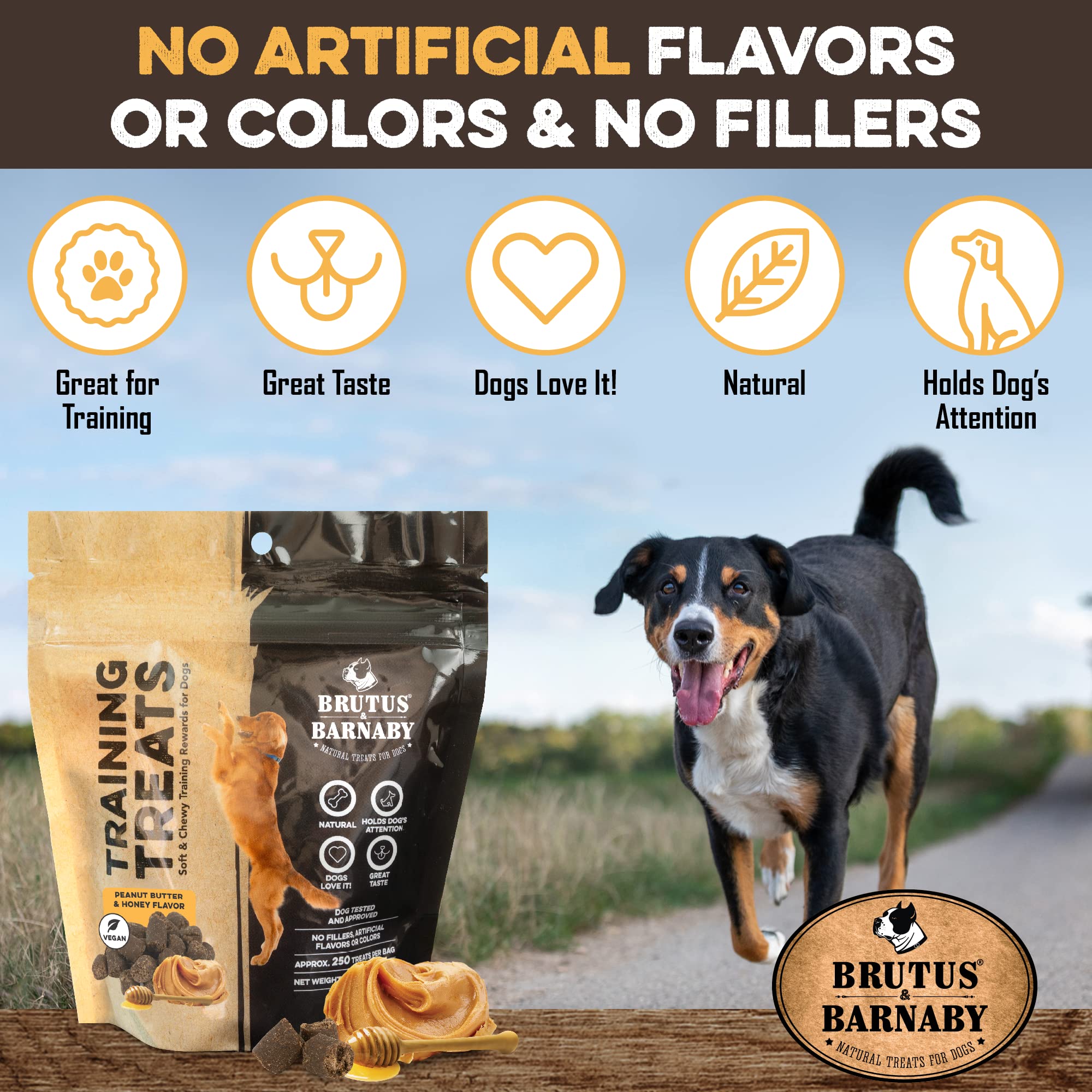 BRUTUS & BARNABY Training Treats for Dogs - Peanut Butter & Honey - All-Natural Healthy Low Calorie Vegetarian Treat - Great to