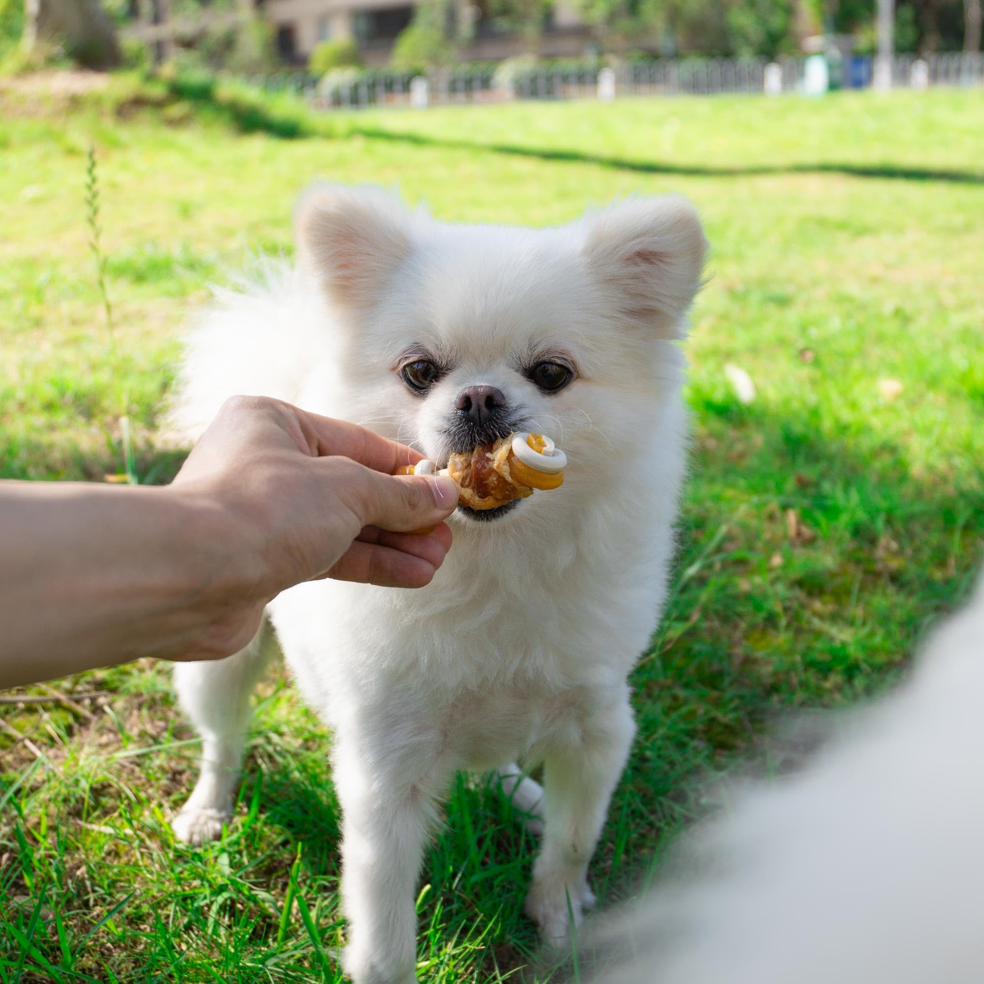 MON2SUN 2.5  Rawhide Free Dog Treats with Mixed Vegetables, Chicken Wrapped Mini Knot Bones for Small Dogs, Healthy Snacks for B