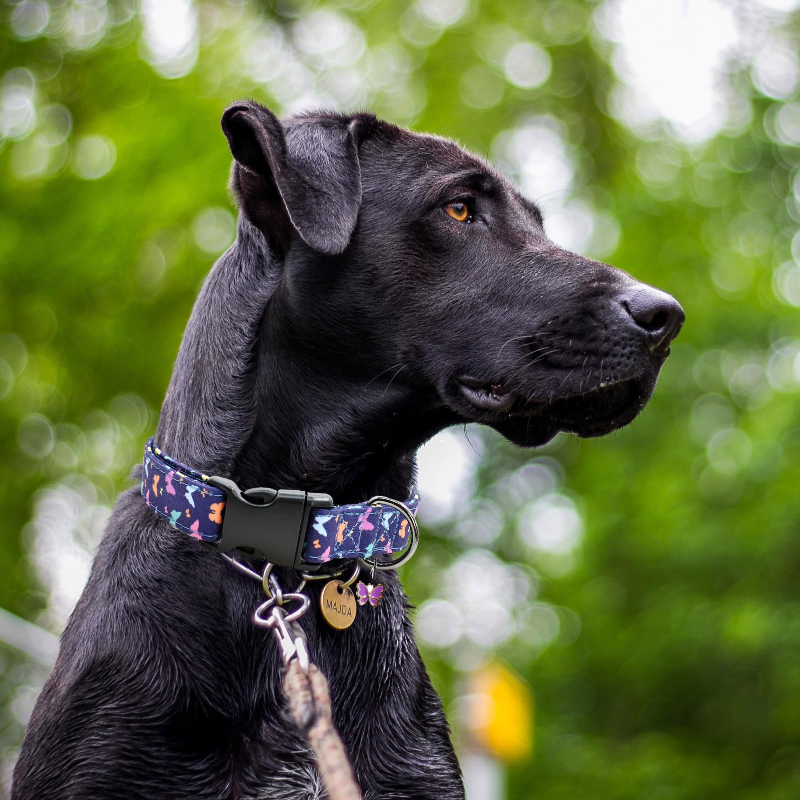 2 Pcs Cotton Dog Collar Soft Cute Flower -3 Sizes Soft Nylon Puppy Collar Adjustable For Girl Female Small Medium Large Dogs(02S