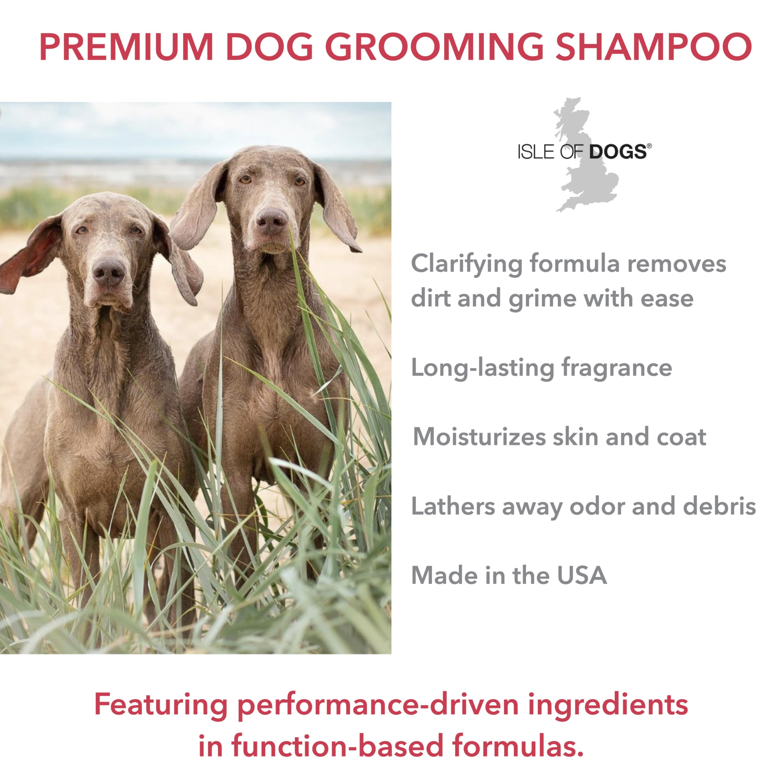 Isle of Dogs Deep Cleaning Shampoo, Sulfate Free, 16 Ounce (822-16)