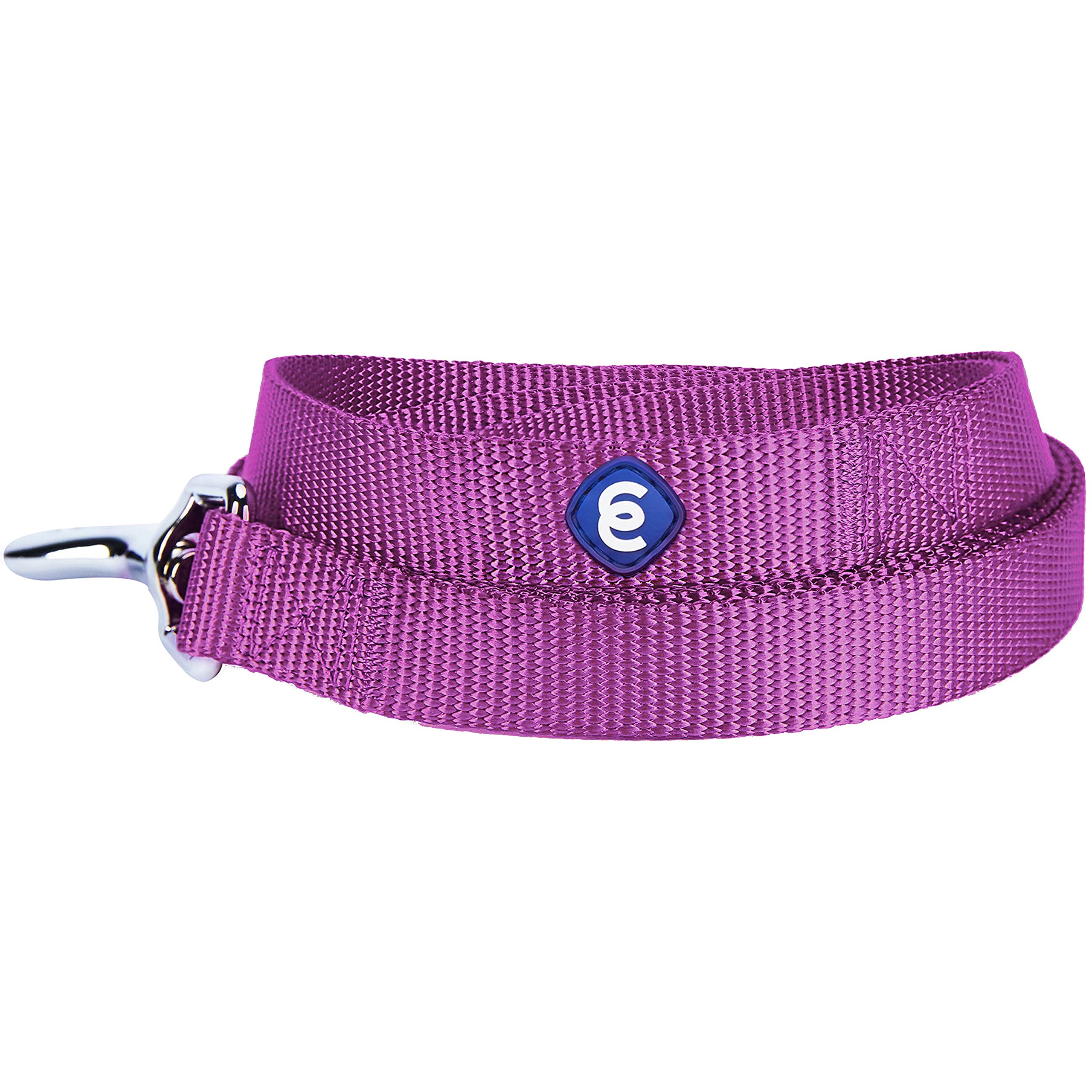 Blueberry Pet Essentials 21 Colors Durable Classic Dog Leash 5 Ft X 3/4', Violet, Medium, Basic Nylon Leashes For Dogs