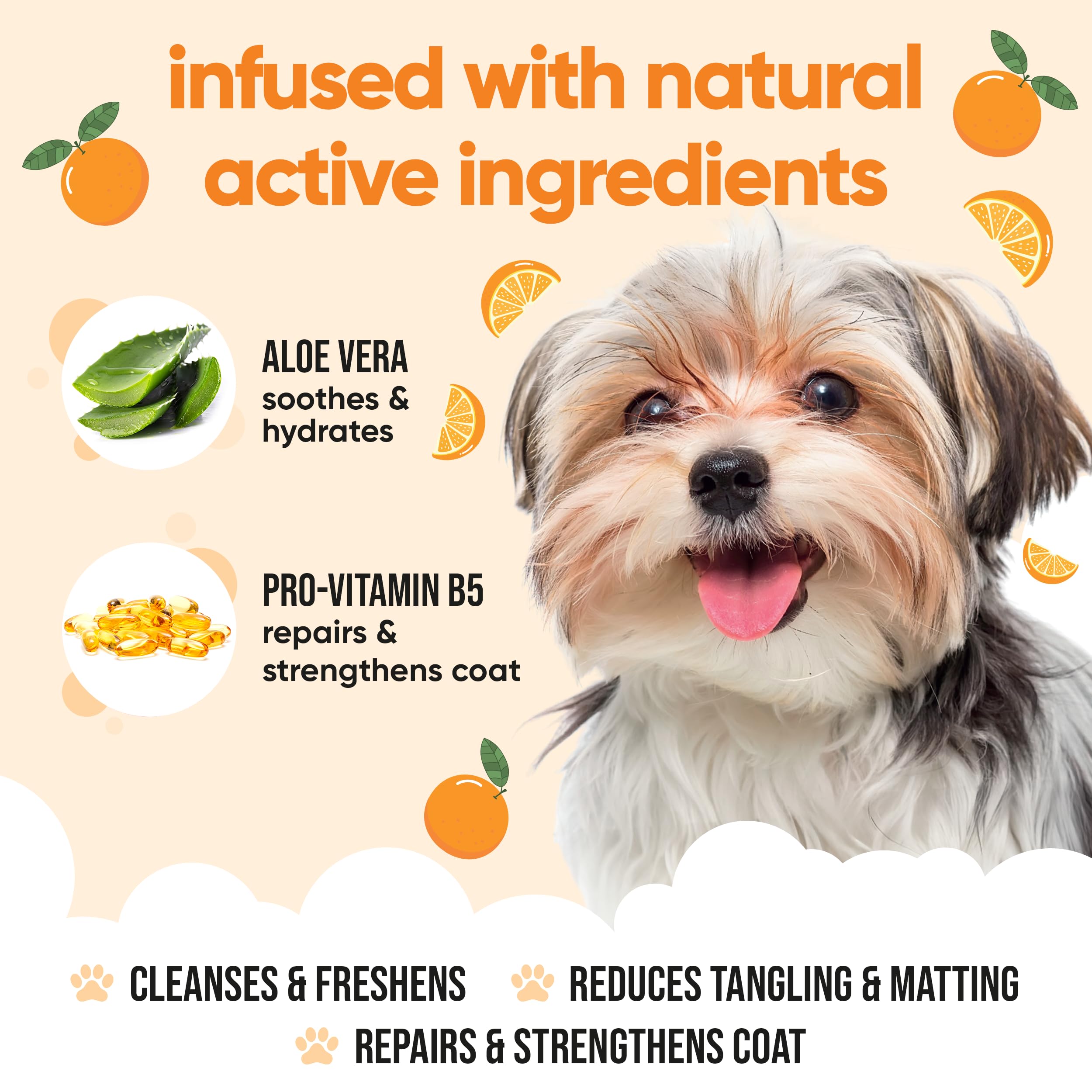 Orange Dog Shampoo By Buddycare | Deep Cleansing Shampoo For Dogs | Orange Scented | With Aloe Vera And Pro Vitamin B5 (16.9Oz)