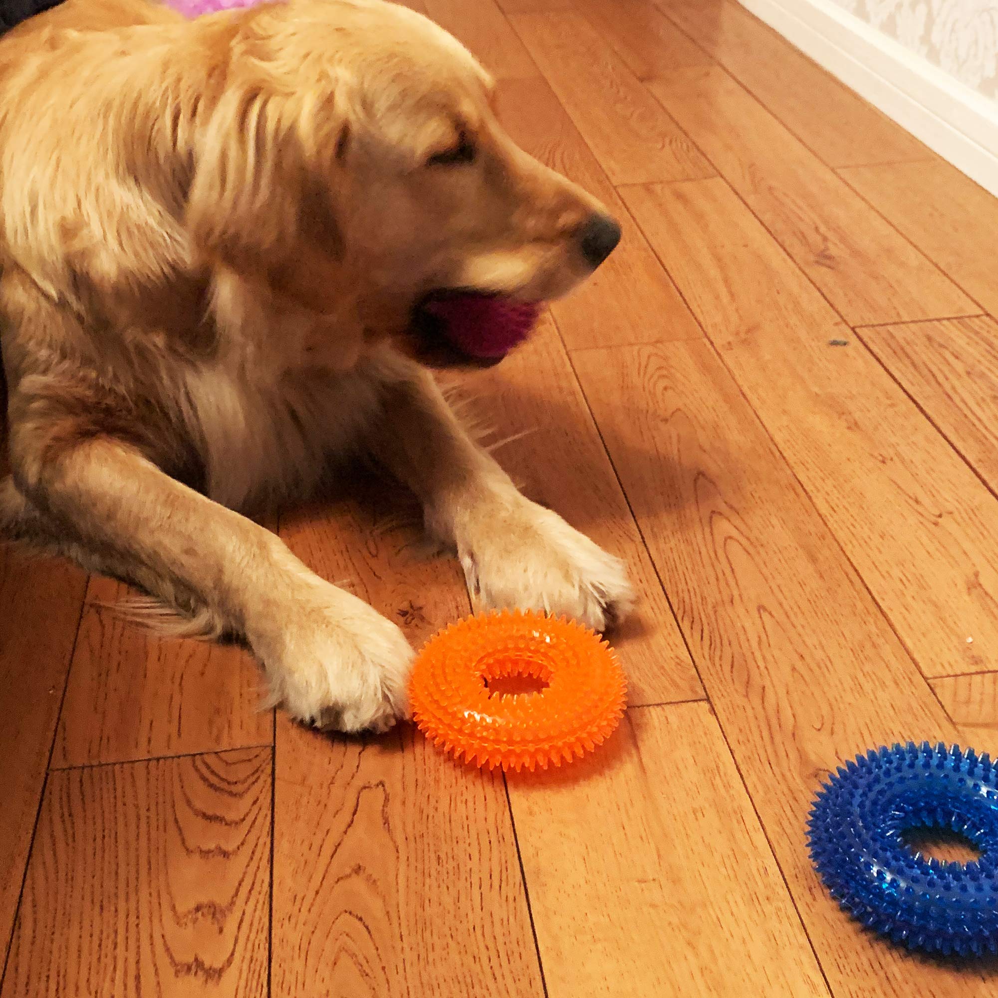 Dog Squeaky Toys Value Set Non-Toxic Dog Squeaky Balls for Dogs Toss Fetch Toys for Dogs TPR Rubber Puppy Toys Spikey Dog Chew T