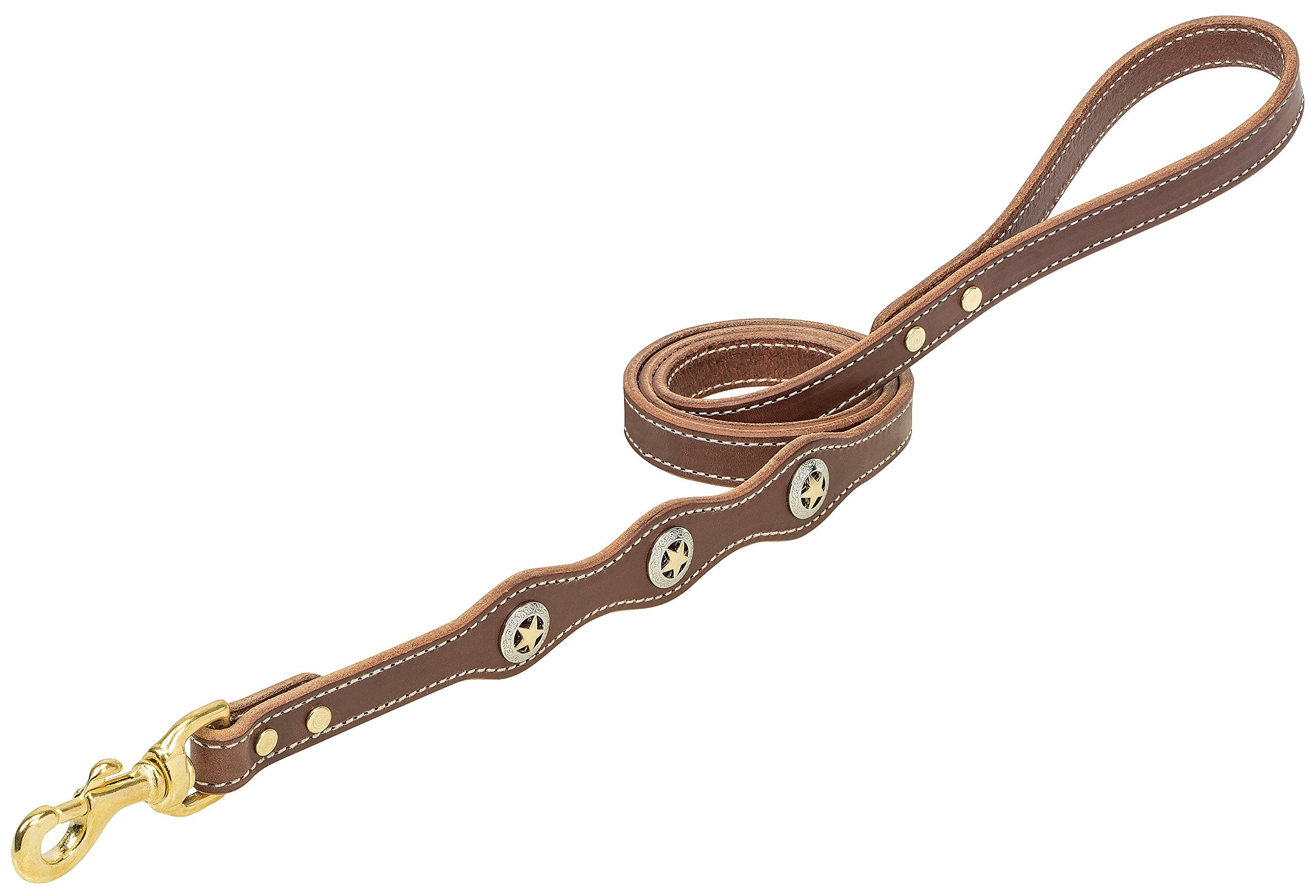 Weaver Pet Lone Star Legend Leash Sunset, 5/8' X 4', (06-5811-St-4)