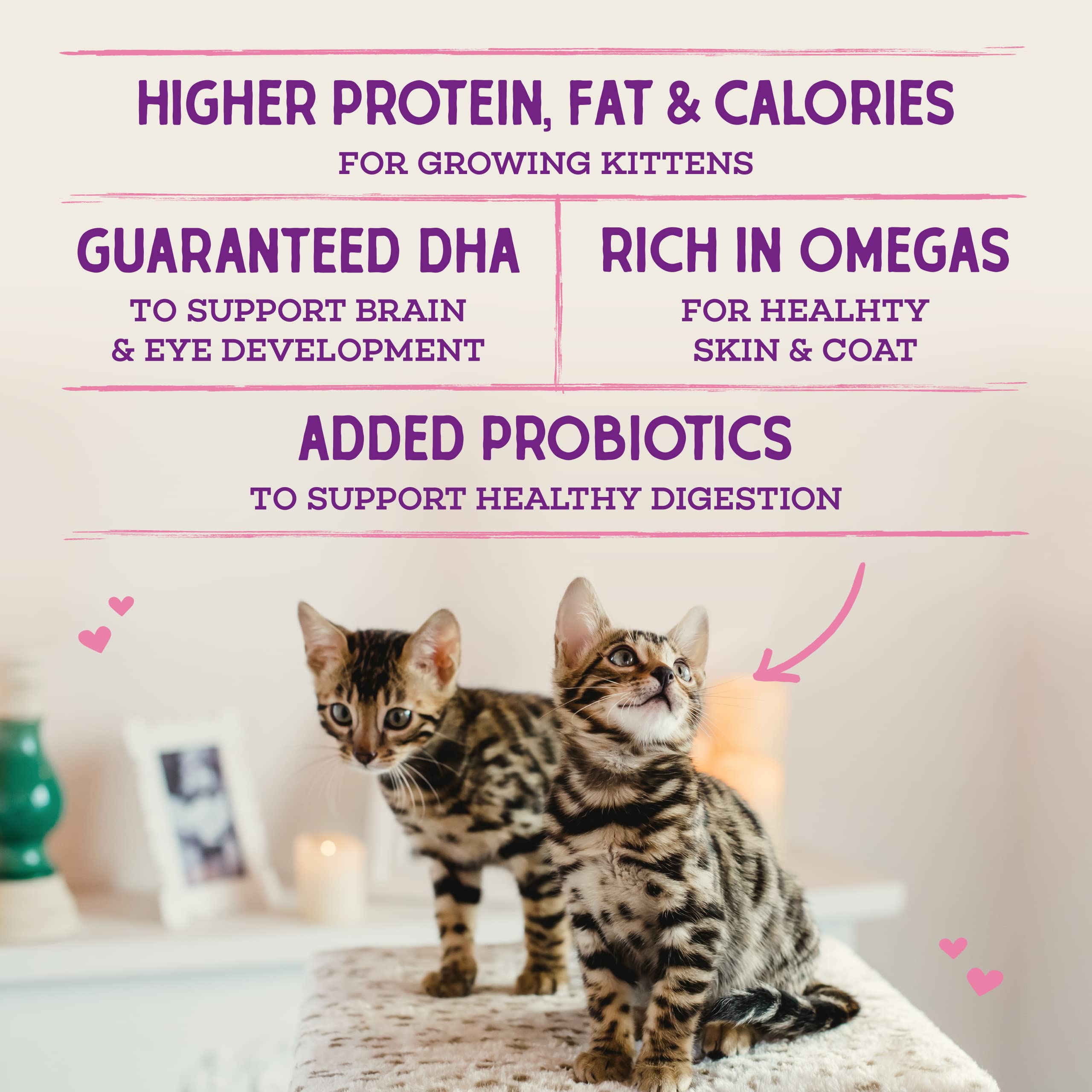 Stella & Chewys Raw Coated Premium Kibble Cat & Kitten Food - Grain Free, Protein Rich Meals - Cage-Free Chicken for Kittens Re