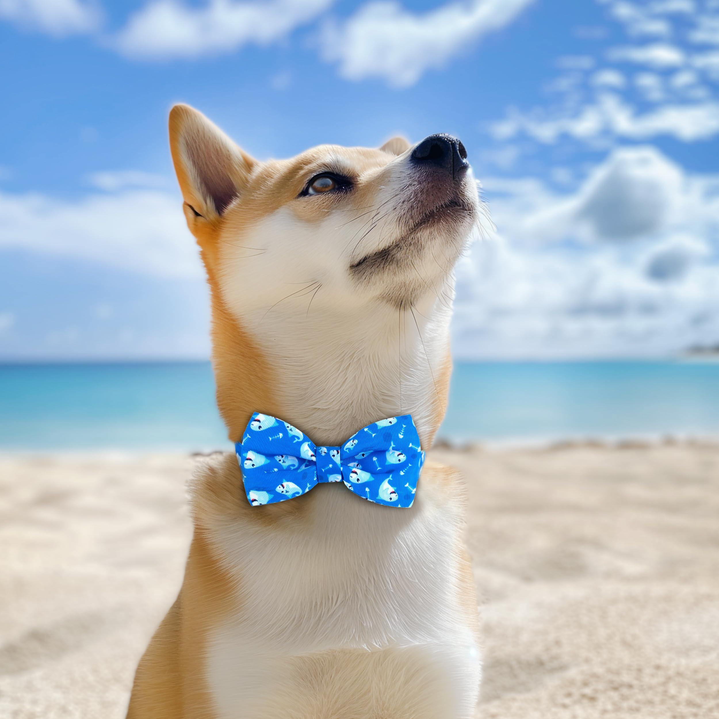 Azuza Dog Collar With Bow Tie, Soft And Comfortable Adjustable Bowtie Dog Collar For Medium Dogs (M, Shark)