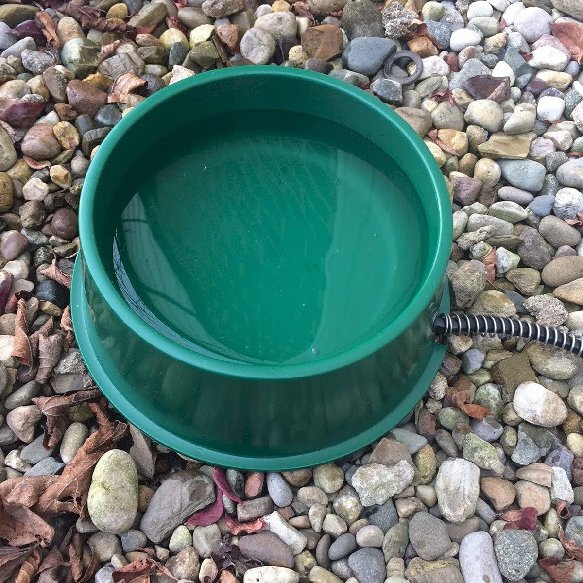 Farm Innovators 1 Quart 25 Watt Powered Heated Electric Water Bowl with Thermostatic Control and Anti Chew Cord Protector for Pe