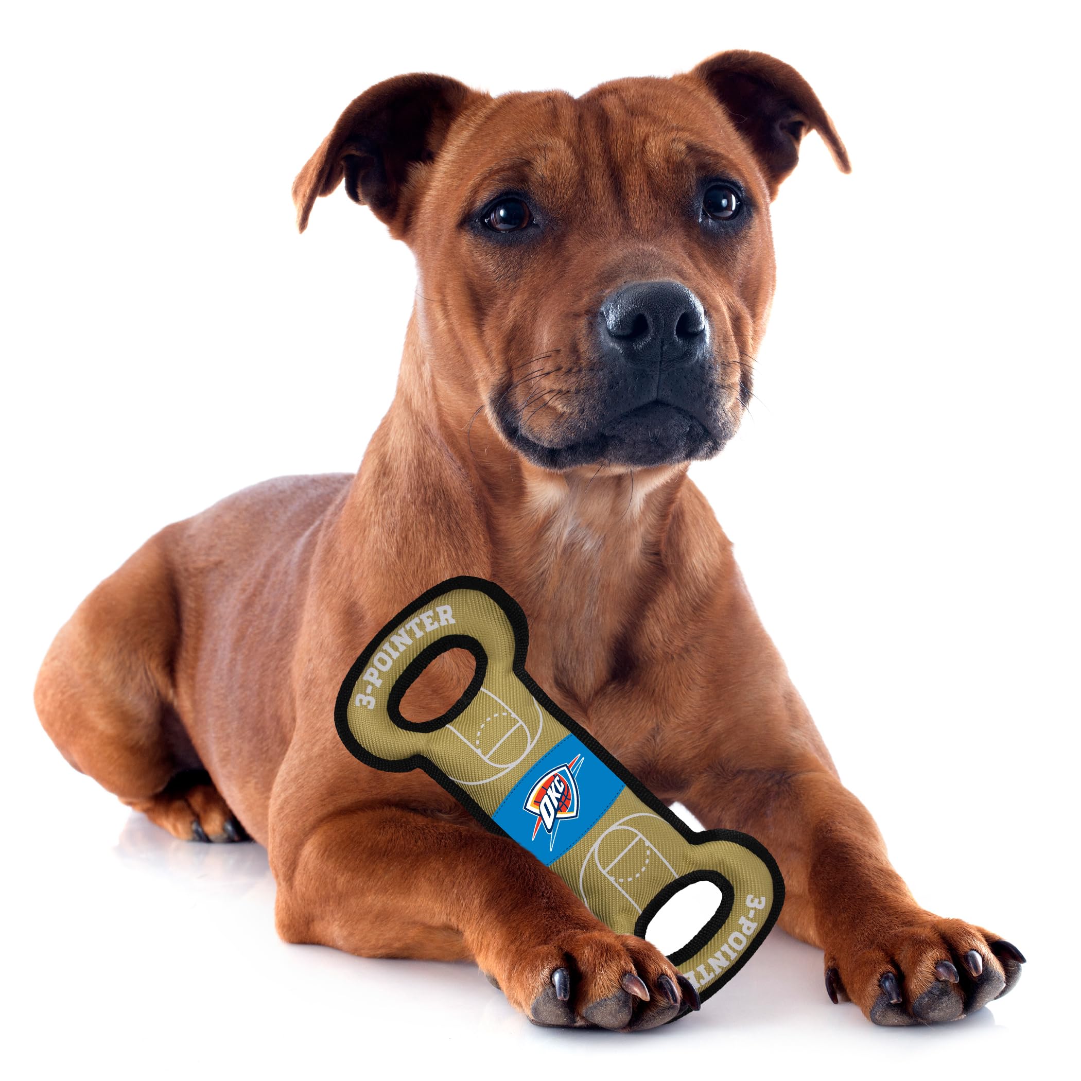 Pets First Nba Oklahoma City Thunder Field Toy. - Tough Nylon Pet Toy With Double Trim Stitching & Inner Squeaker, One Size