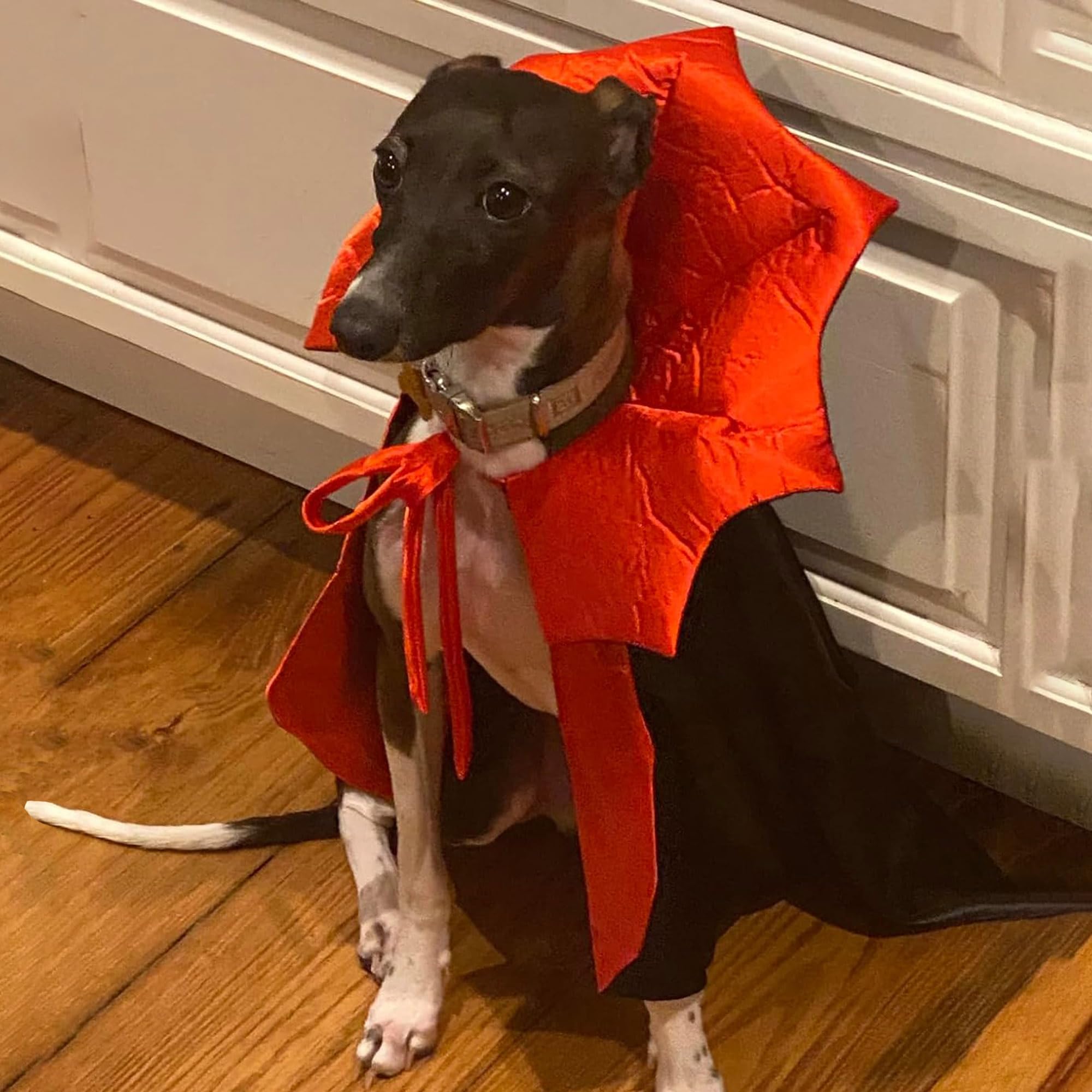 Adoggygo Halloween Dog Costume Dog Vampire Devil Costume Dog Halloween Cloak Cape Red Black Halloween Costumes For Small Medium Large Dogs (Black&Red, Medium)
