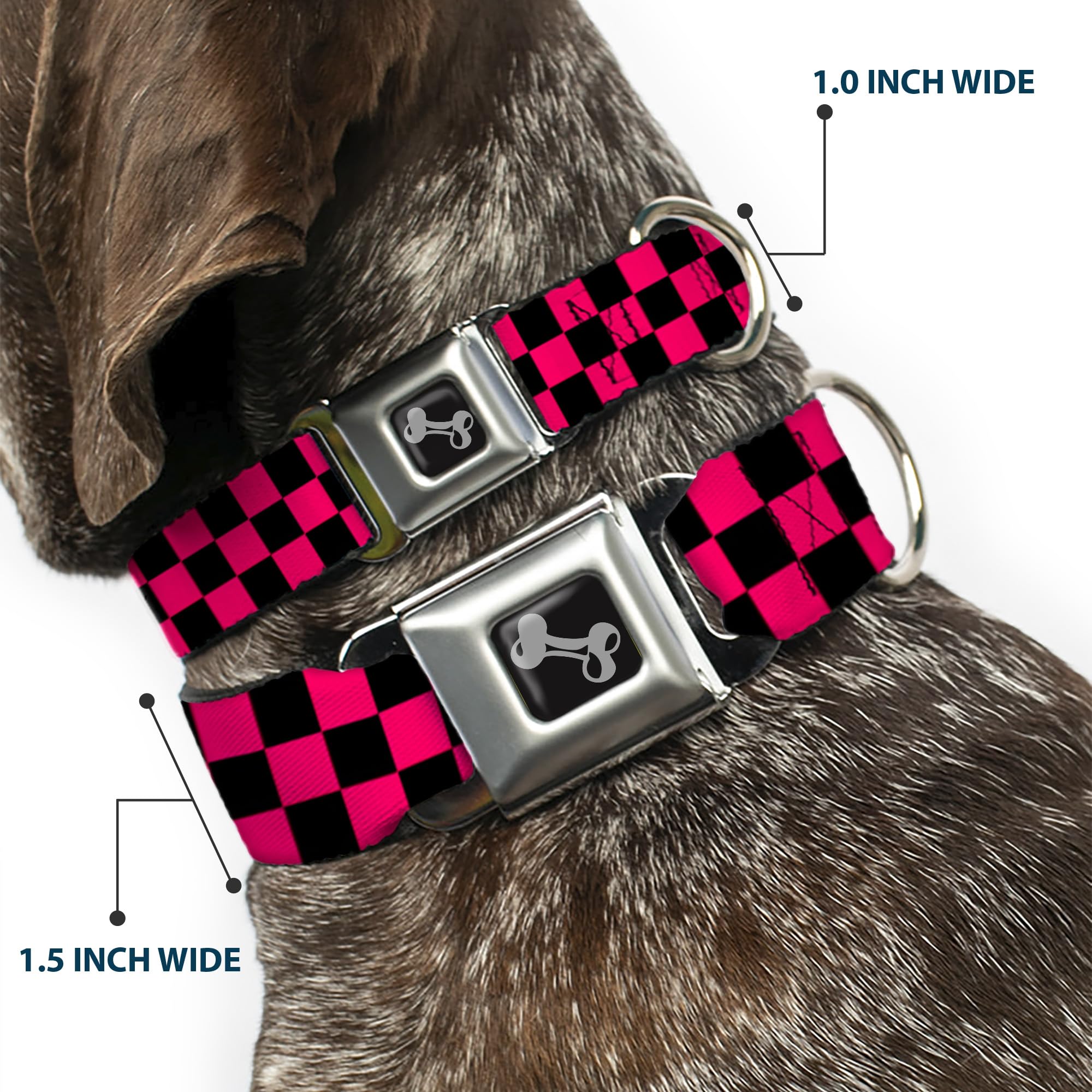 Buckle-Down Seatbelt Buckle Dog Collar - Checker Black/Neon Pink - 1' Wide - Fits 11-17' Neck - Medium