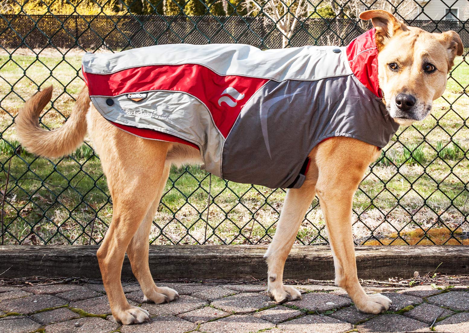 DOGHELIOS Lotus-Rusher Waterproof 2-in-1 Pet Dog Jacket Coat with Removable Polar Fleece Lining w/ Blackshark technology, Larg