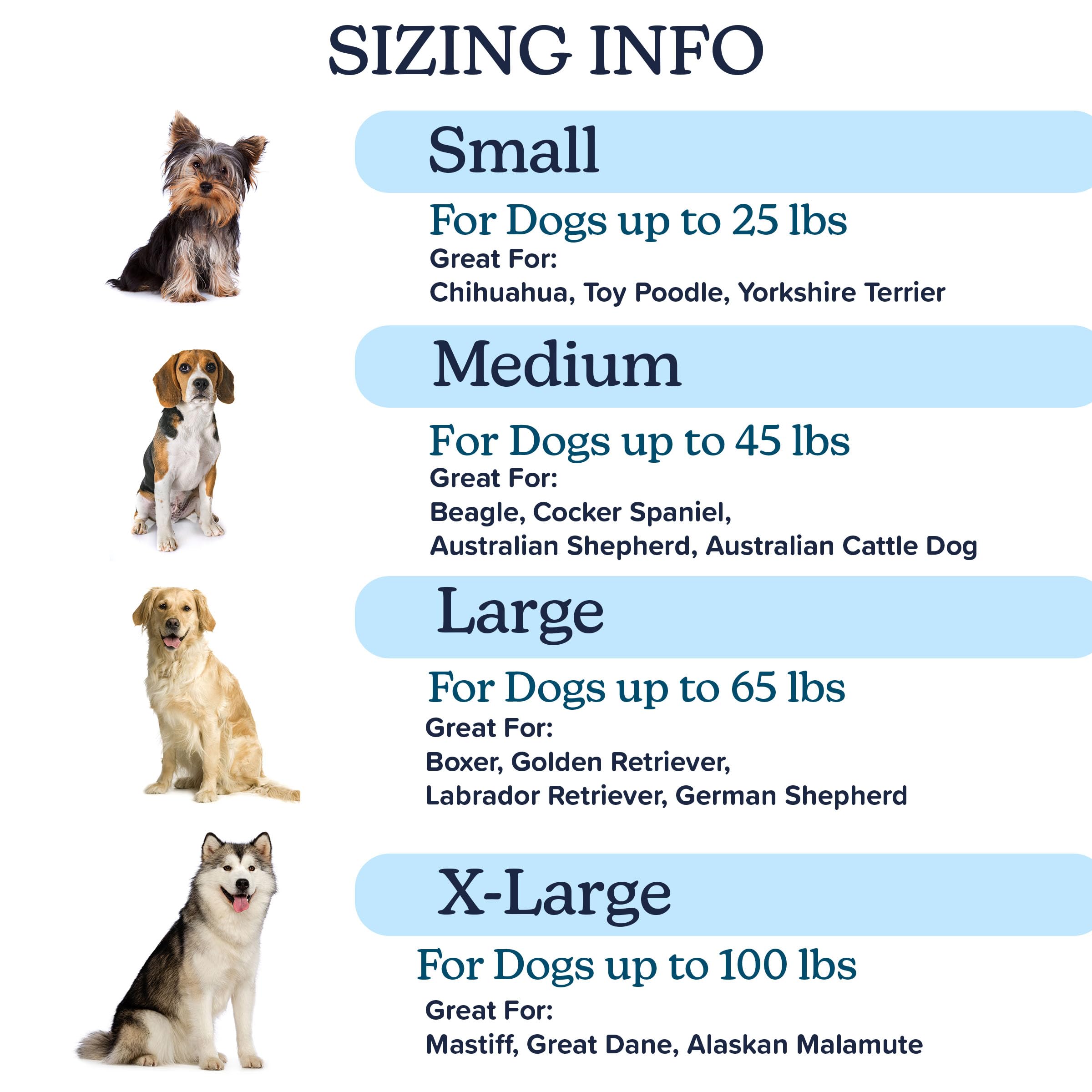 PETMAKER Dog Bed with Removable Cover - 44x35 Egg Crate-Style Foam Orthopedic Pet Bed with Microsuede Cover and Nonslip Backing