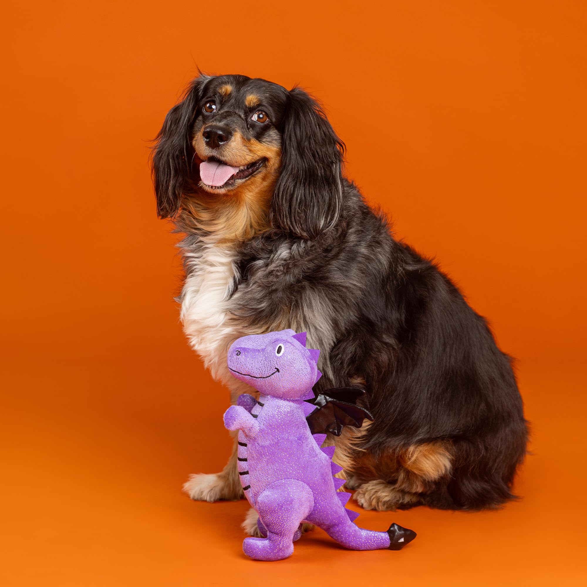 Fringe Studio Pet Toy, Dont BE A Drag-ON Plush Dog Toy, PetShop Collection (314626)