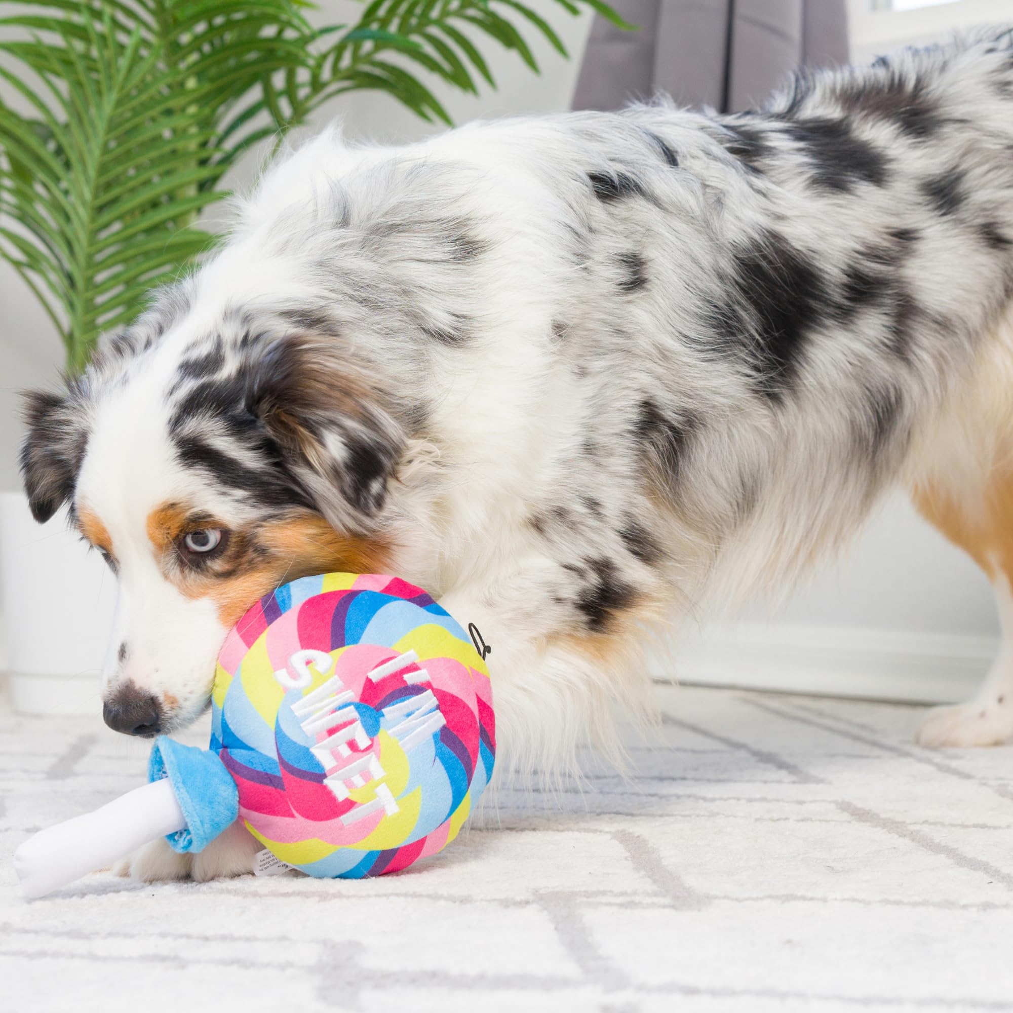 Huxley & Kent For Dogs - I'M Sweet Lollipop (Large) - Easter Spring - Power Plush Funny Dog Toy With Squeaker - Fun, Durable, An