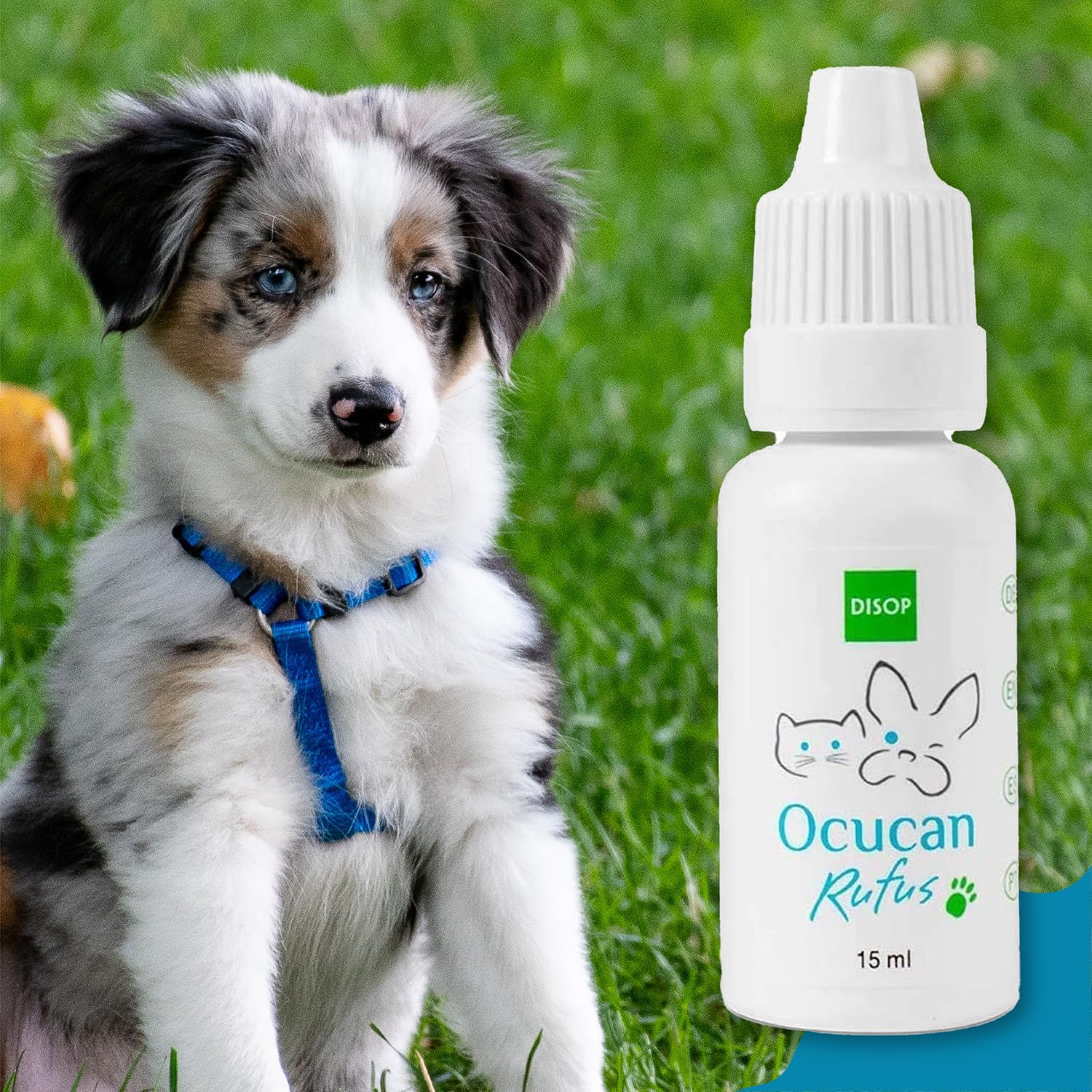 Ocucan Moisturizing Eye Drops for Dogs and cats with Hyaluronic Acid Lubricating Relief Lube for Pets Dry Eyes Multidose 15 ml