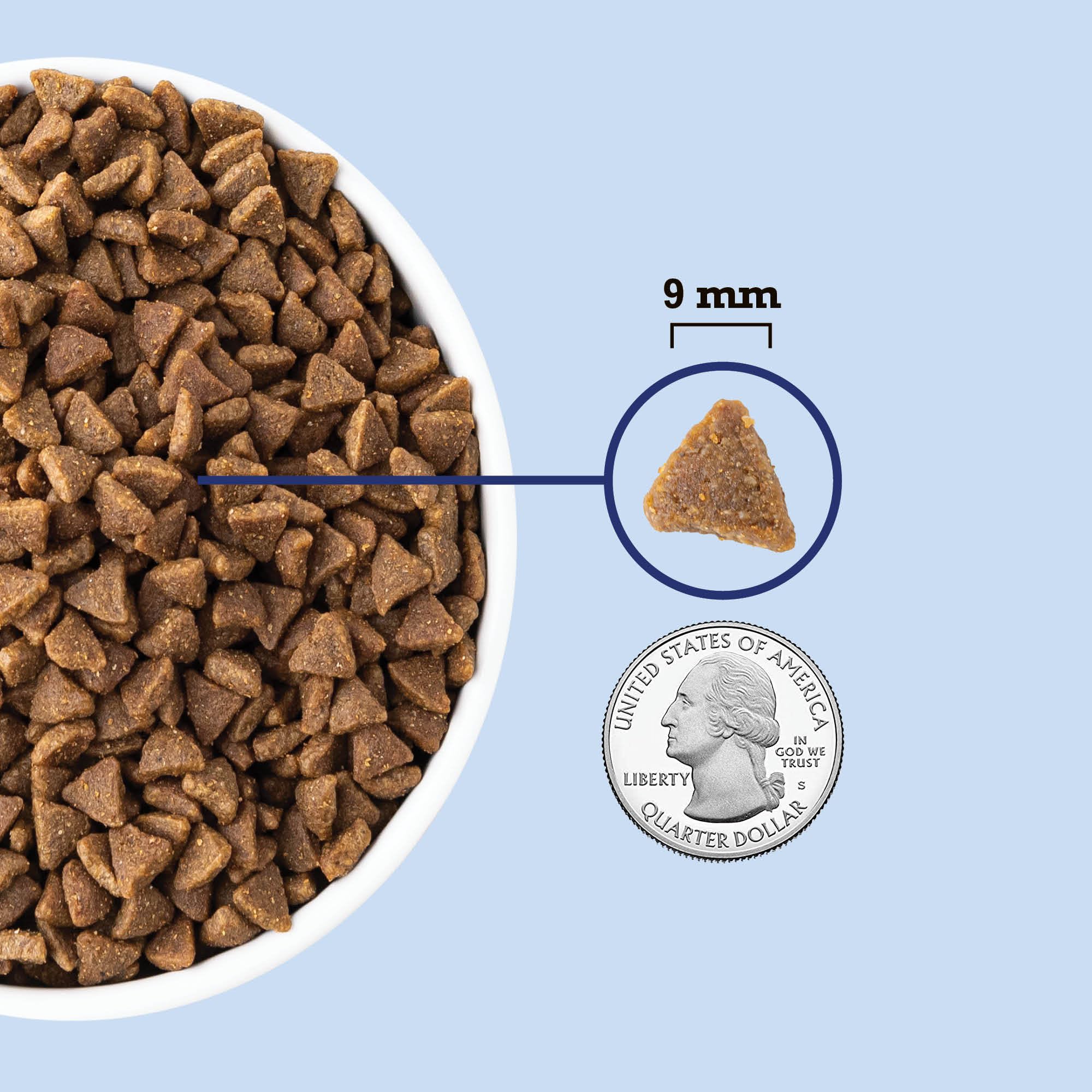 ACANA Indoor Entr  e Fish Recipe Cat 10LB