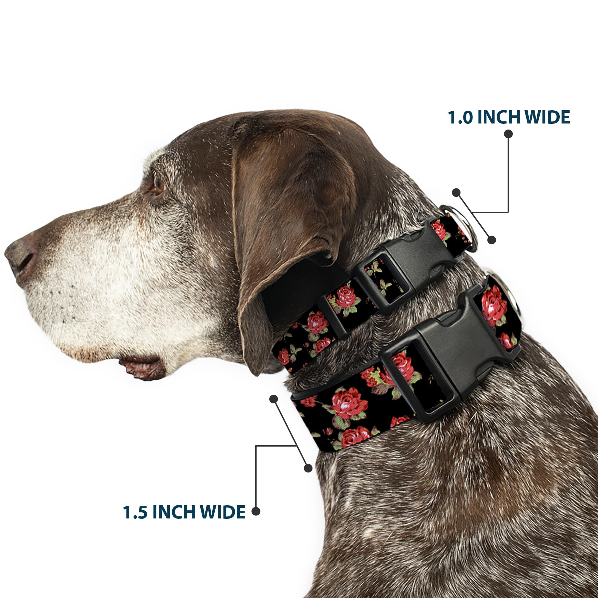 Buckle-Down 11-17'' Red Roses Scattered Black Plastic Clip Collar, Medium