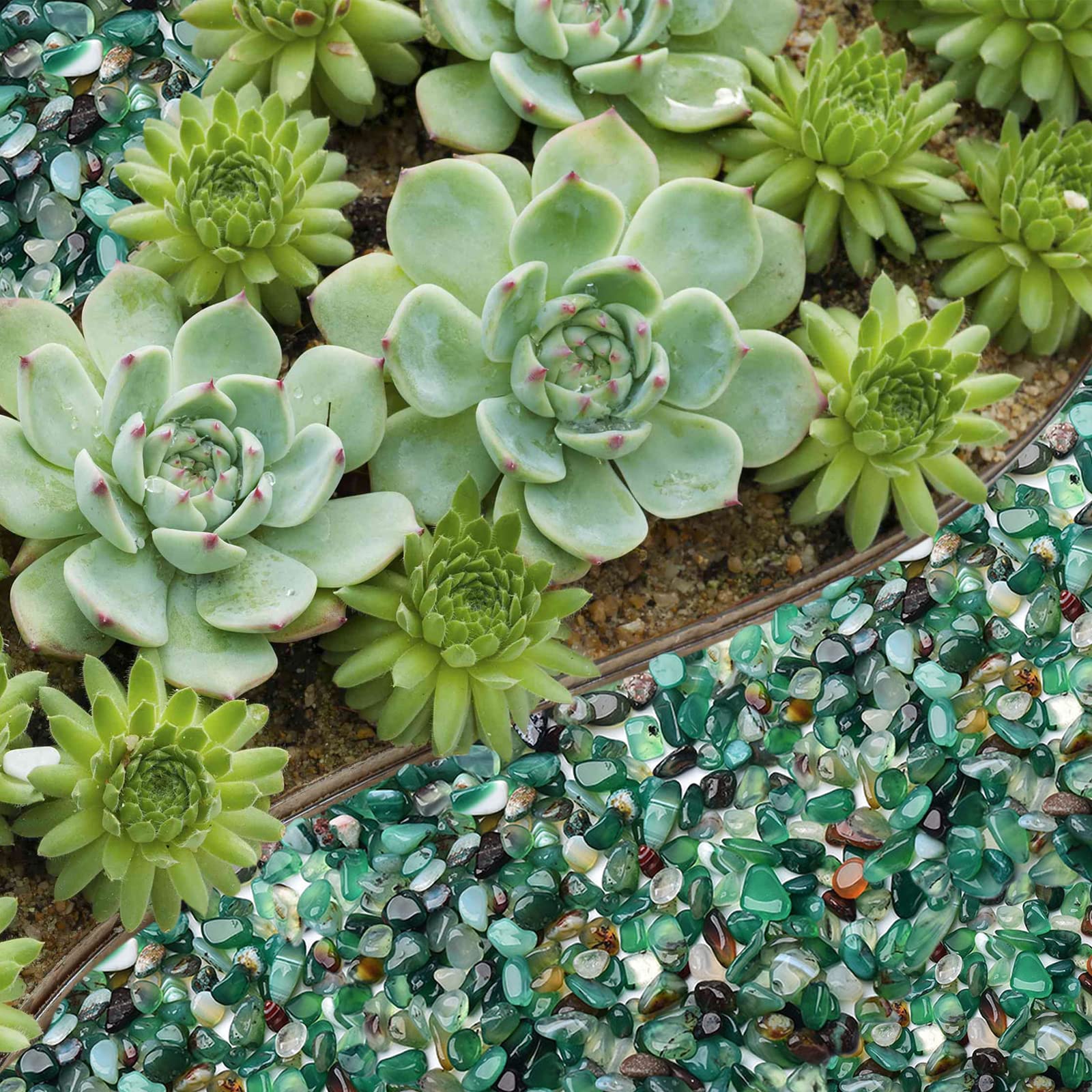 Halatool 2.2Lb Green Pebbles 0.35'- 0.6' Natural Aquarium Gravel Decorative Polished Stone Suitable For Plants Home Decoration Diy Handmade Fish Tanks Vase Filler