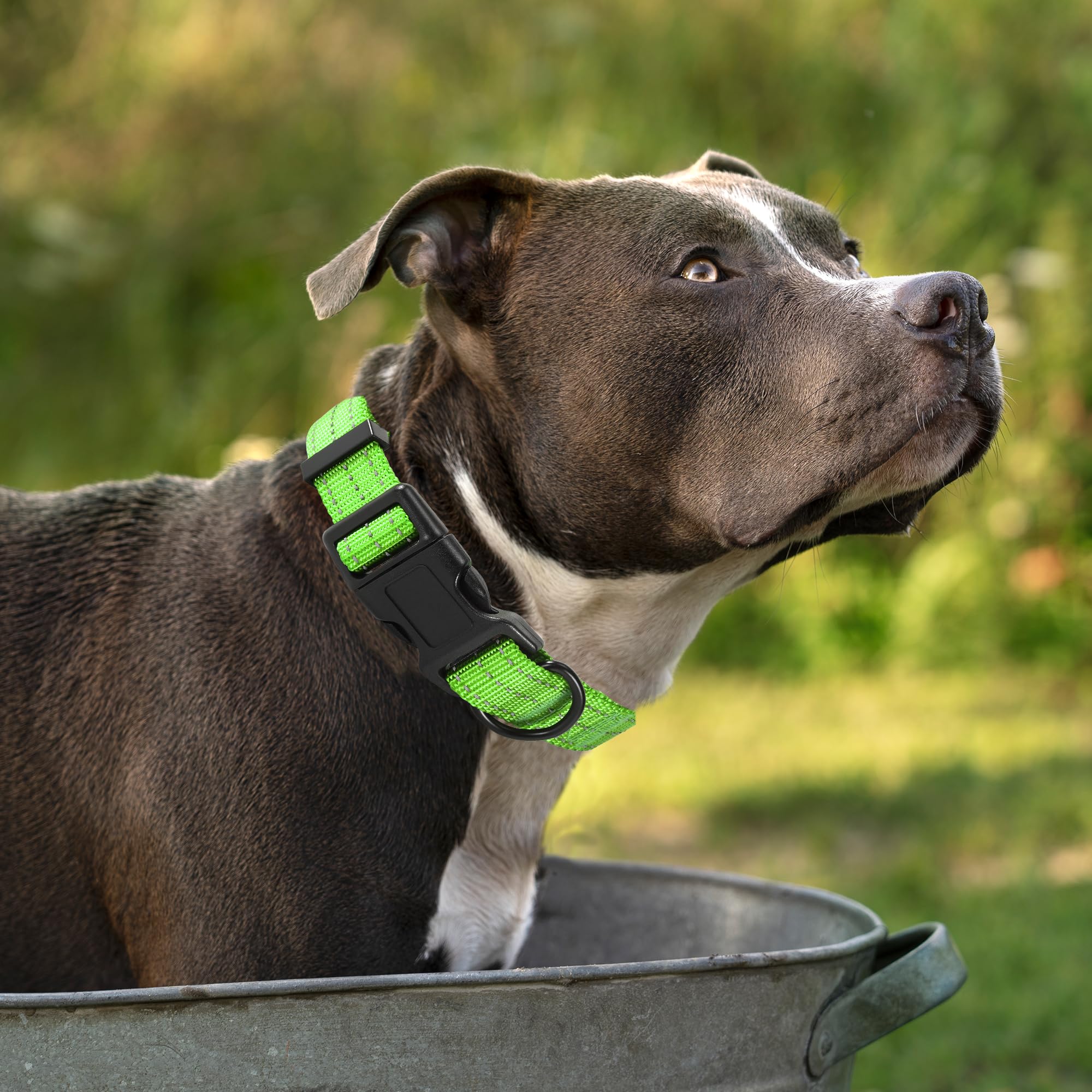 Mile High Life Dog Collar | Nylon Reflective Dog Collars | Light Weight Puppy Collars | Lime Green Dog Collars For Large Dogs (S