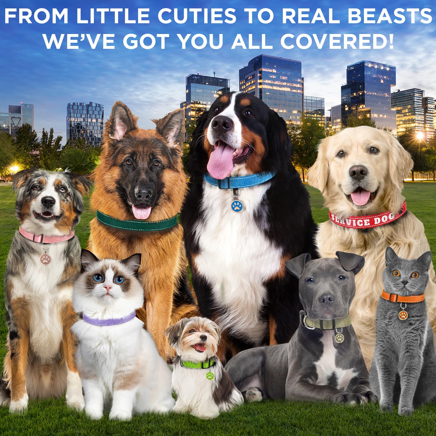 Teceum Reflective Pet Collar - Purple - Xs - Extra Soft Padding - Basic Nylon Dog Collar - Quick Release Buckle - Fits Small, Me