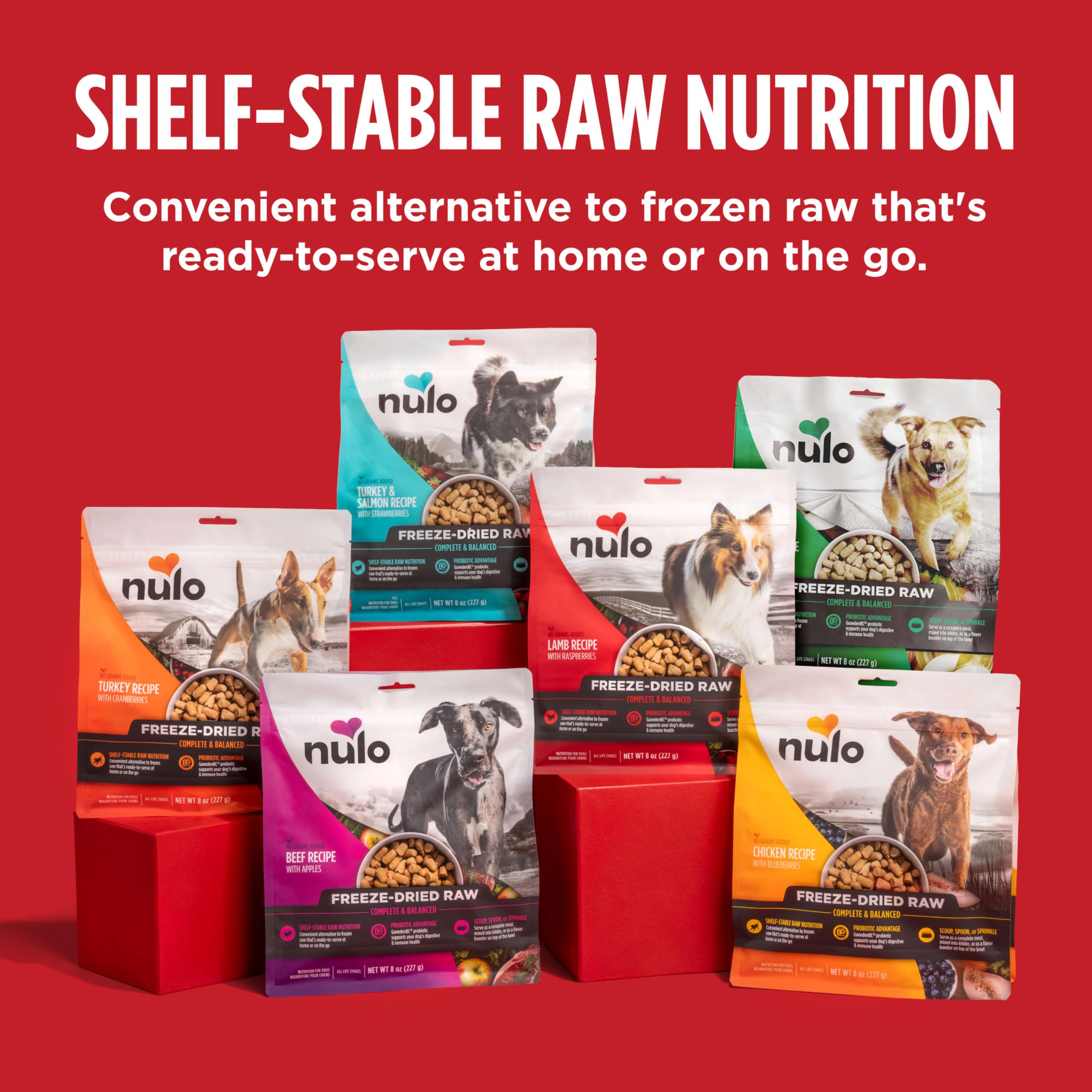 Nulo Freeze-Dried Raw Chicken Recipe with Blueberries Complete and Balanced Dry Dog Food Kibble, 8 Ounce Bag