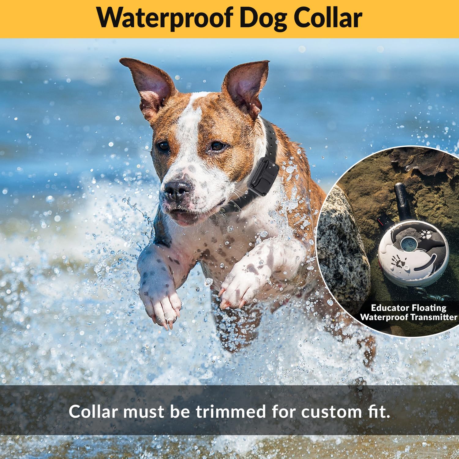 Educator E-Collar Dog Training Collar, Rechargeable, 100 Levels, for Small-Medium Dogs, Zen Color, Model ZEN-302