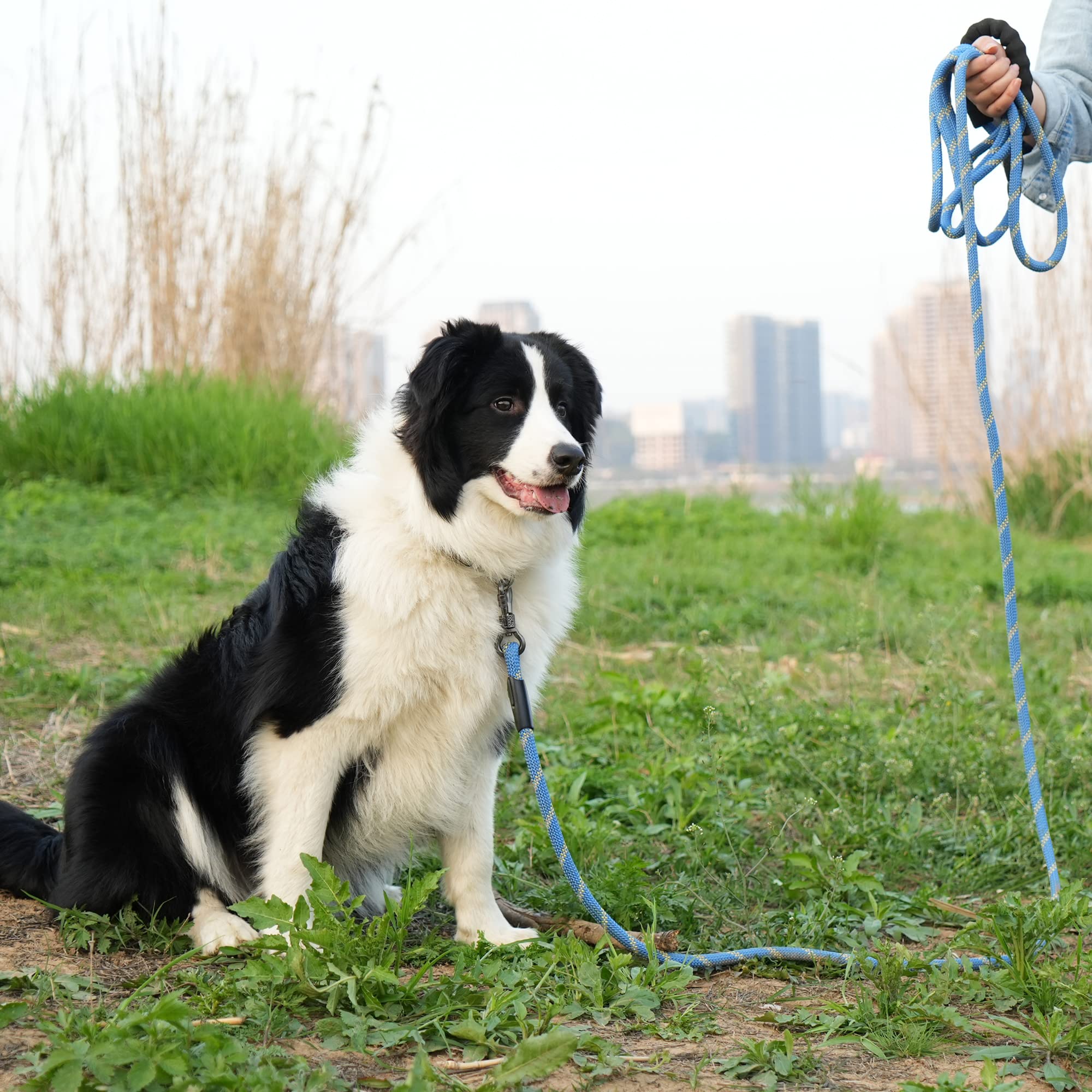 Ntr 15Ft Heavy Duty Dog Leash, Blue Rope Leash For Dog Training With Swivel Lockable Hook,Reflective Threads And Comfortable Handle,Dog Lead For Walking,Hunting,Camping For Medium And Large Dog