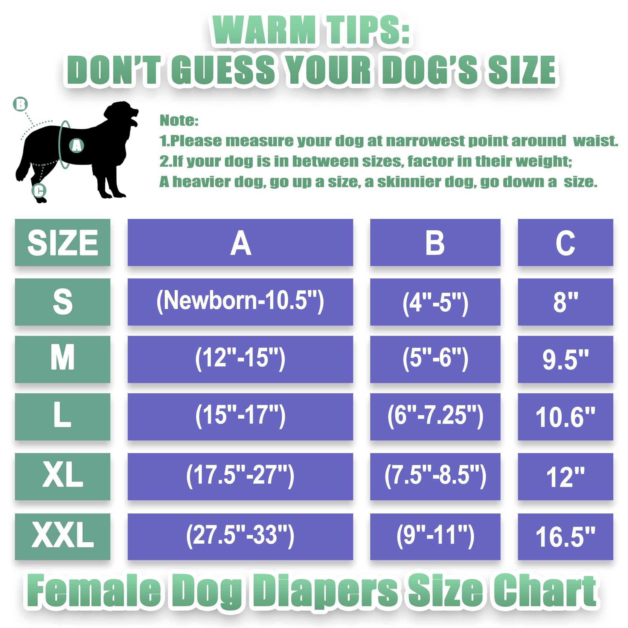 wegreeco Luxury Washable Reusable Dog Diapers (Stylish Pattern) - Female Dog Diapers, Doggie Diapers, 3 Pack (Lace, Medium)