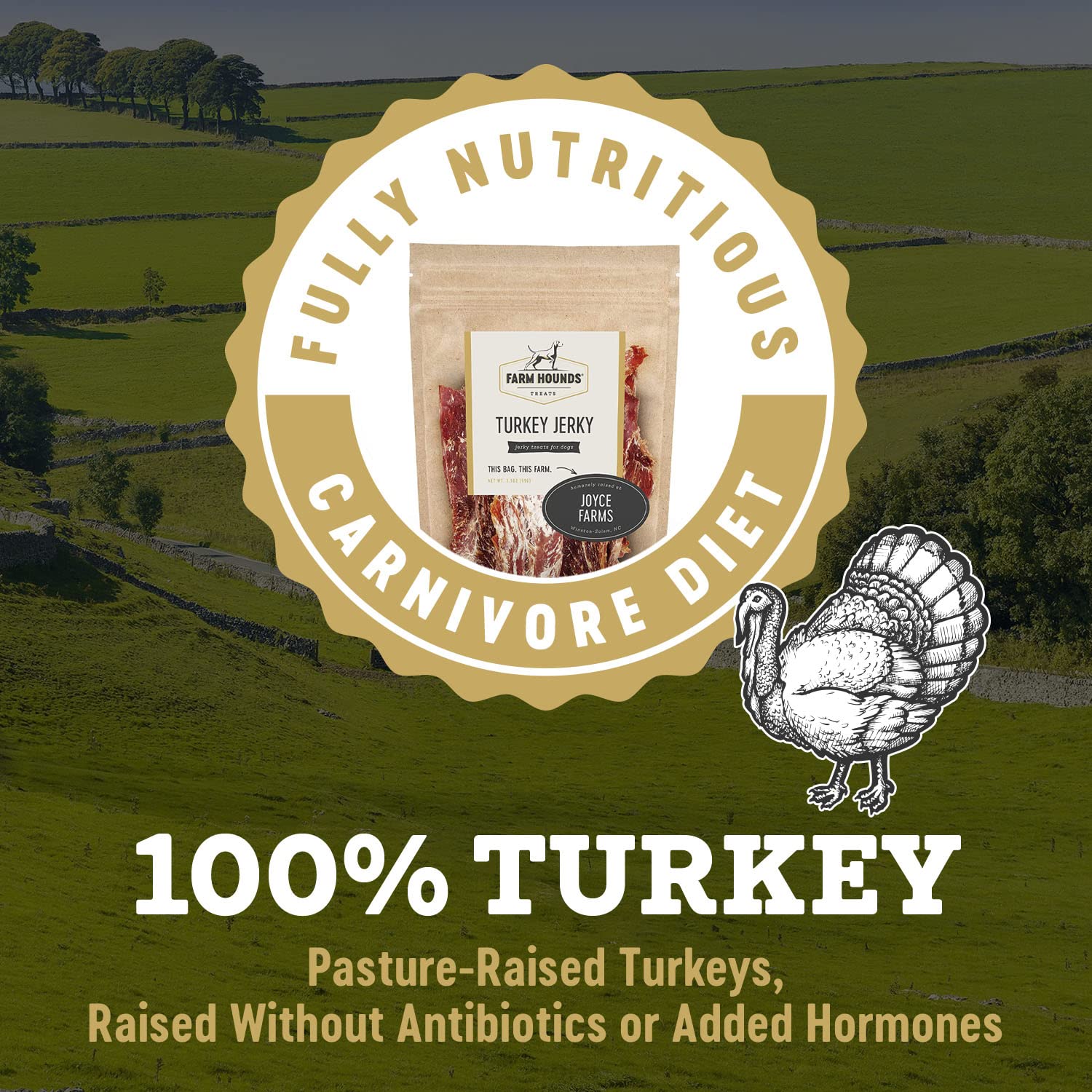 Farm Hounds - Turkey Jerky - Premium Natural Jerky for Dogs - 100% Humanely Raised Turkey - Break-to-Size - Great for Training &