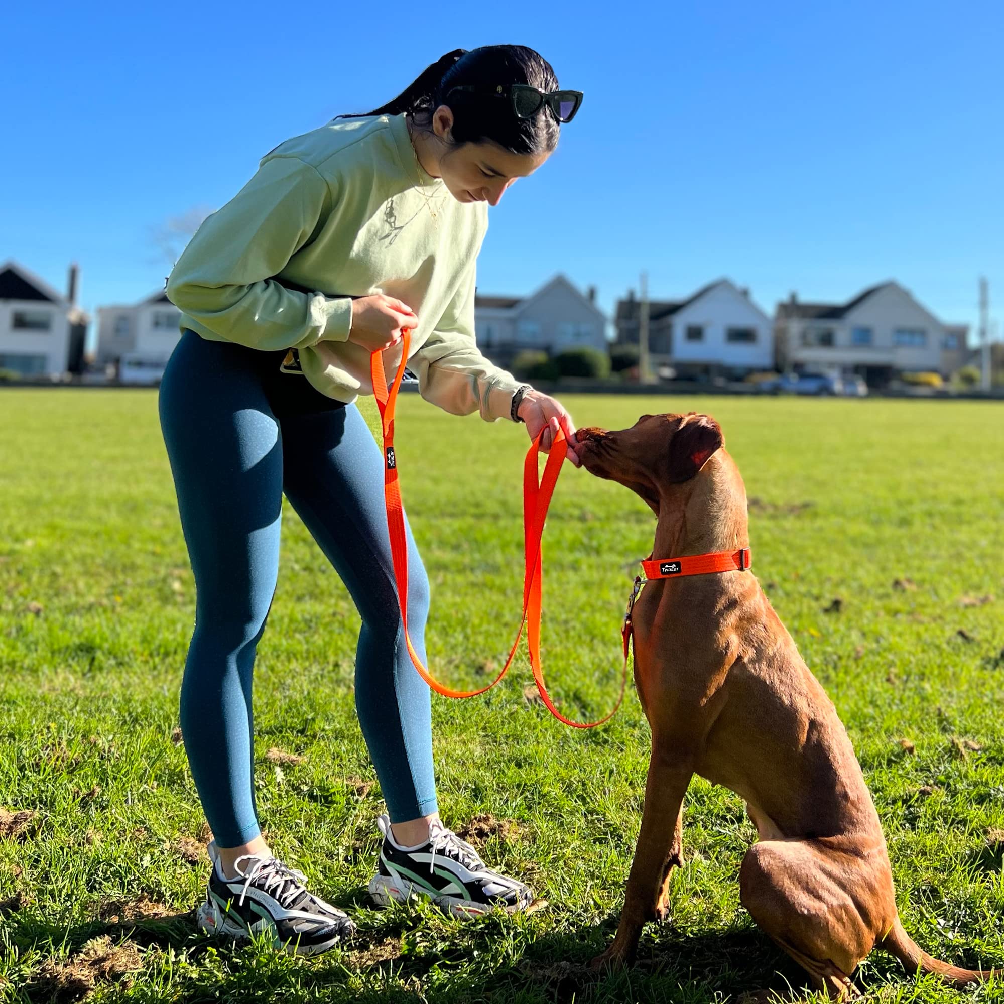 Twoear Dog Leashes For Large Dogs Heavy Duty, Comfortable Soft Padded Handle, Double-Sided Reflective Nylon Dog Leash For Medium & Large Dogs Walking