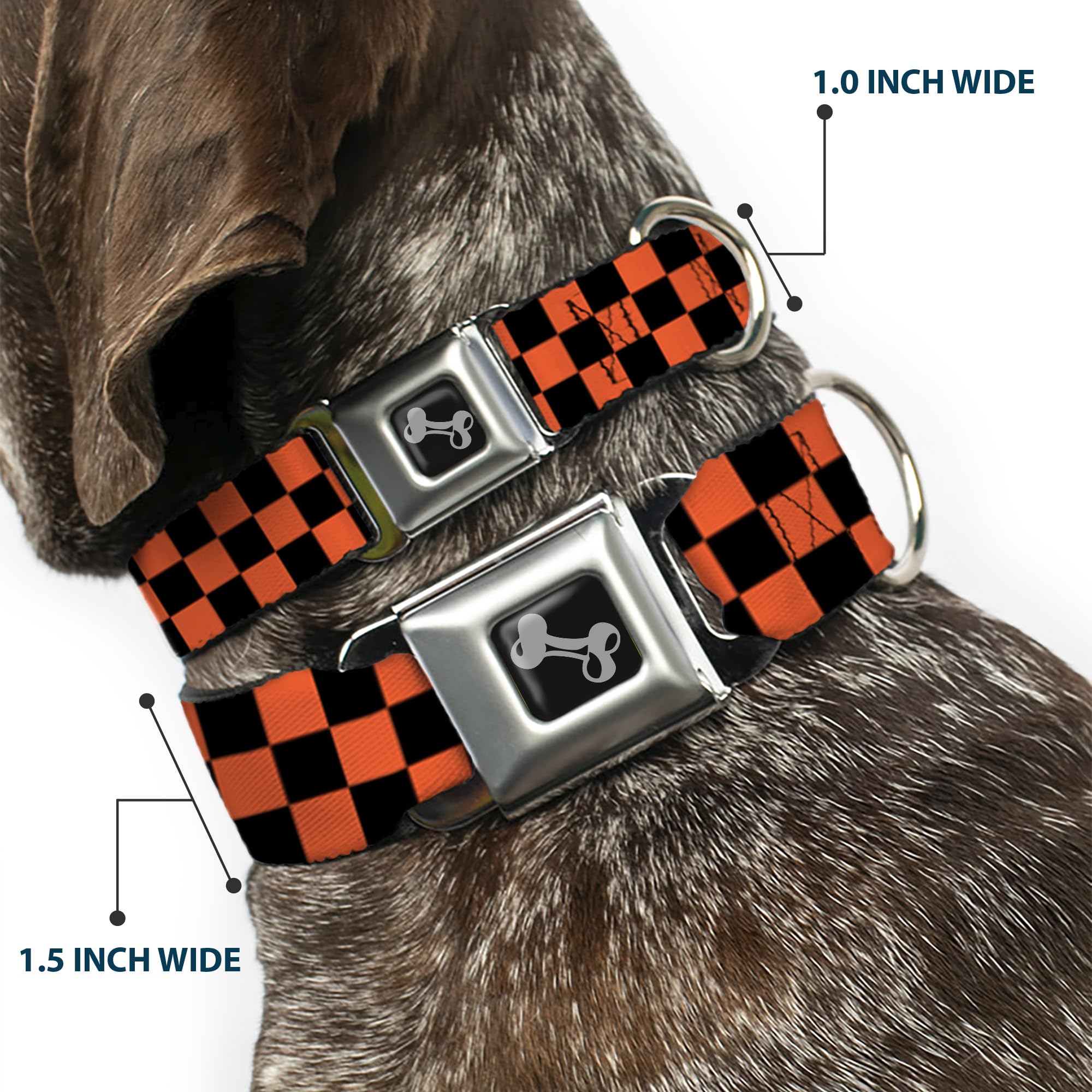 Buckle-Down 13-18 Checker Black/Orange Dog Collar Bone, Wide Small