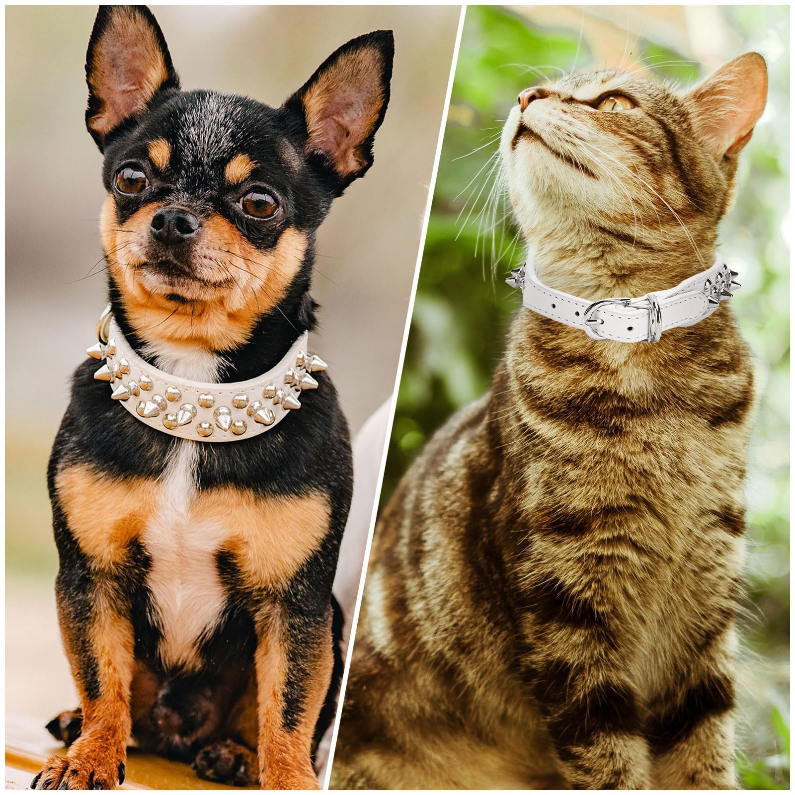 Doggyzstyle Small Spiked Dog Cat Collar For Small Medium Dogs Boy Male Female - Adjustable Studded Puppy Collars - Soft Padded P
