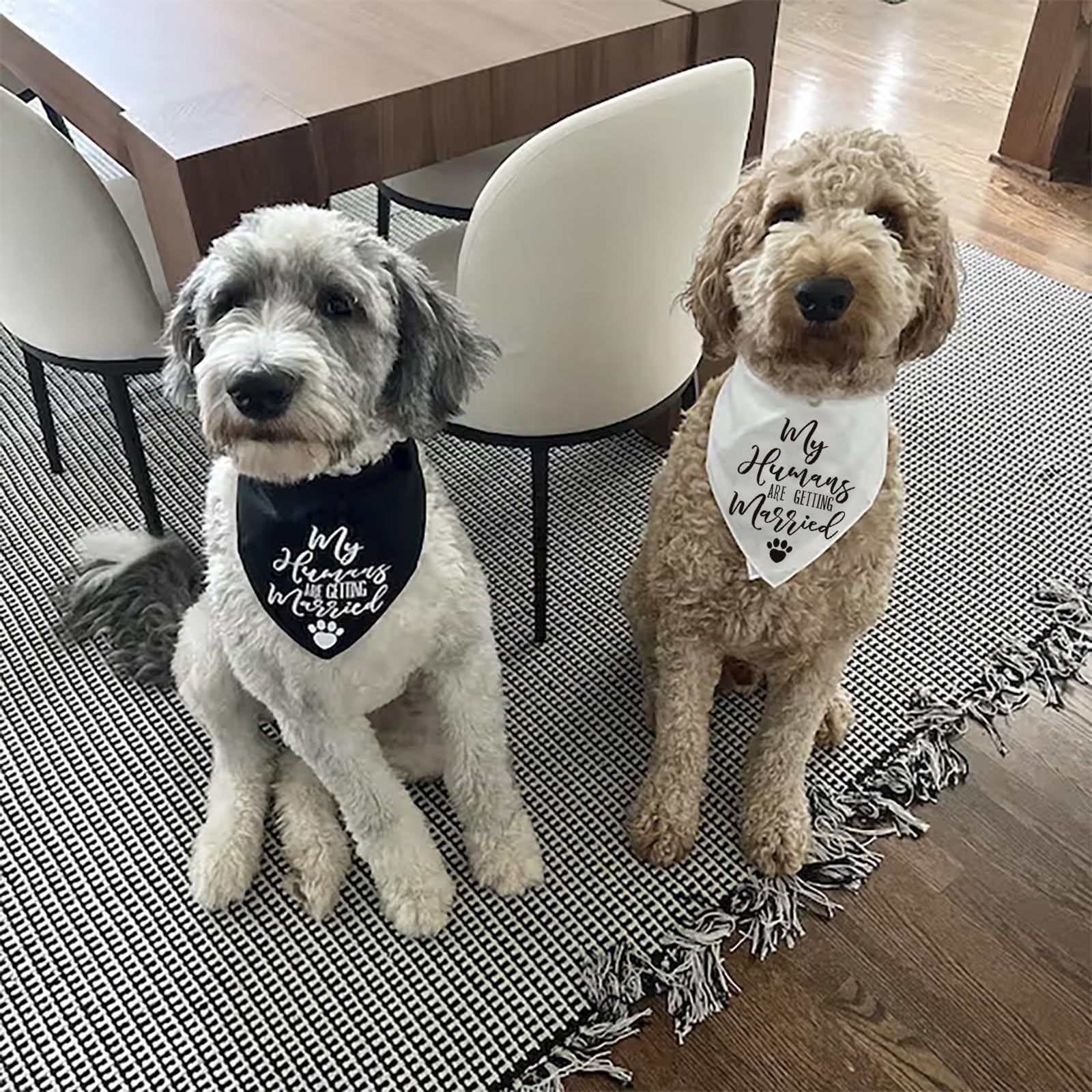Engagement Announcement Dog Bandana - My Humans Are Getting Married Dog Wedding Outfit Engagement Gifts - 2 Pcs Adjustable Trian