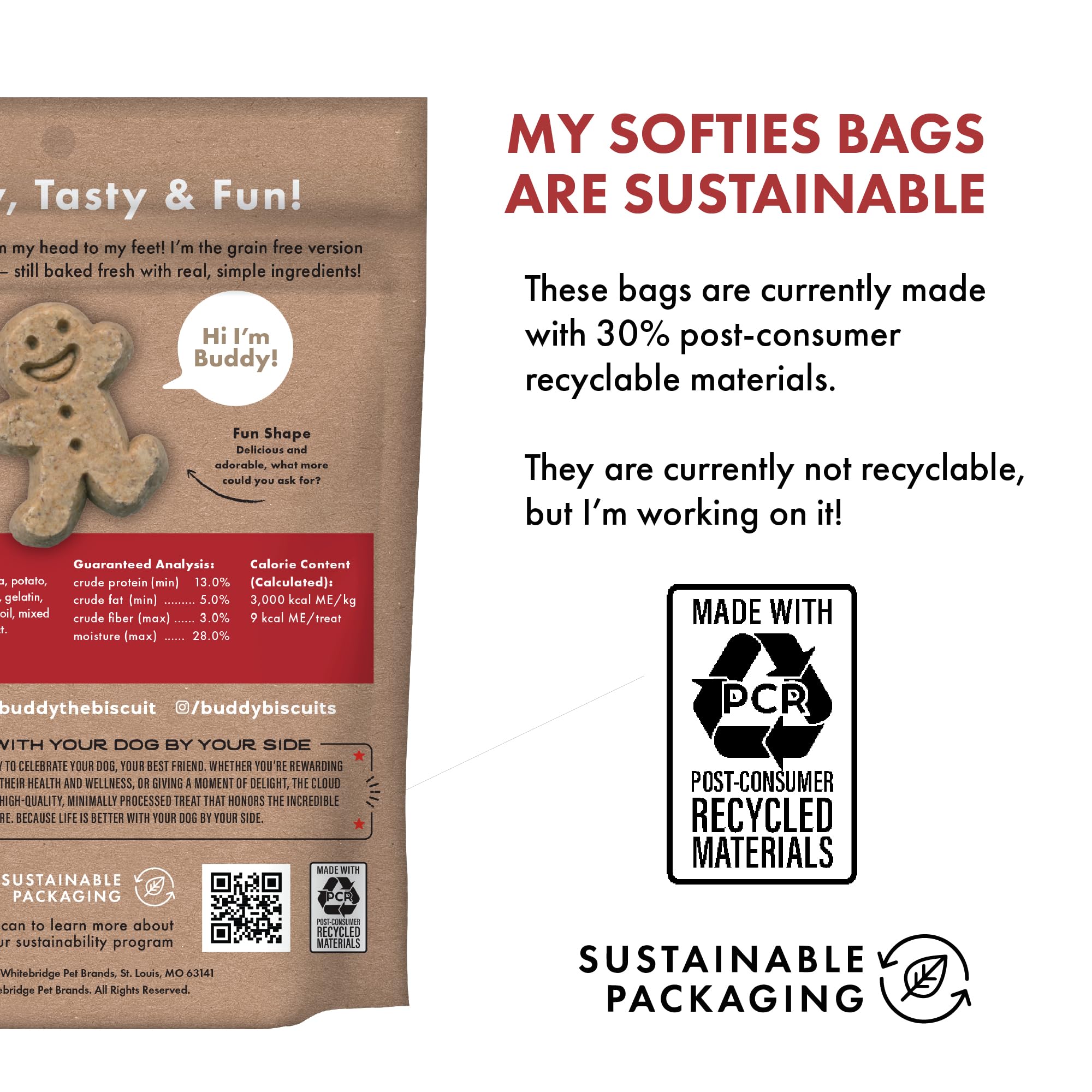 Buddy Biscuits Softies 5 oz Pouch, Grain-Free Soft & Chewy, Natural Grilled Beef Flavor Dog Treats, Oven Baked in The USA