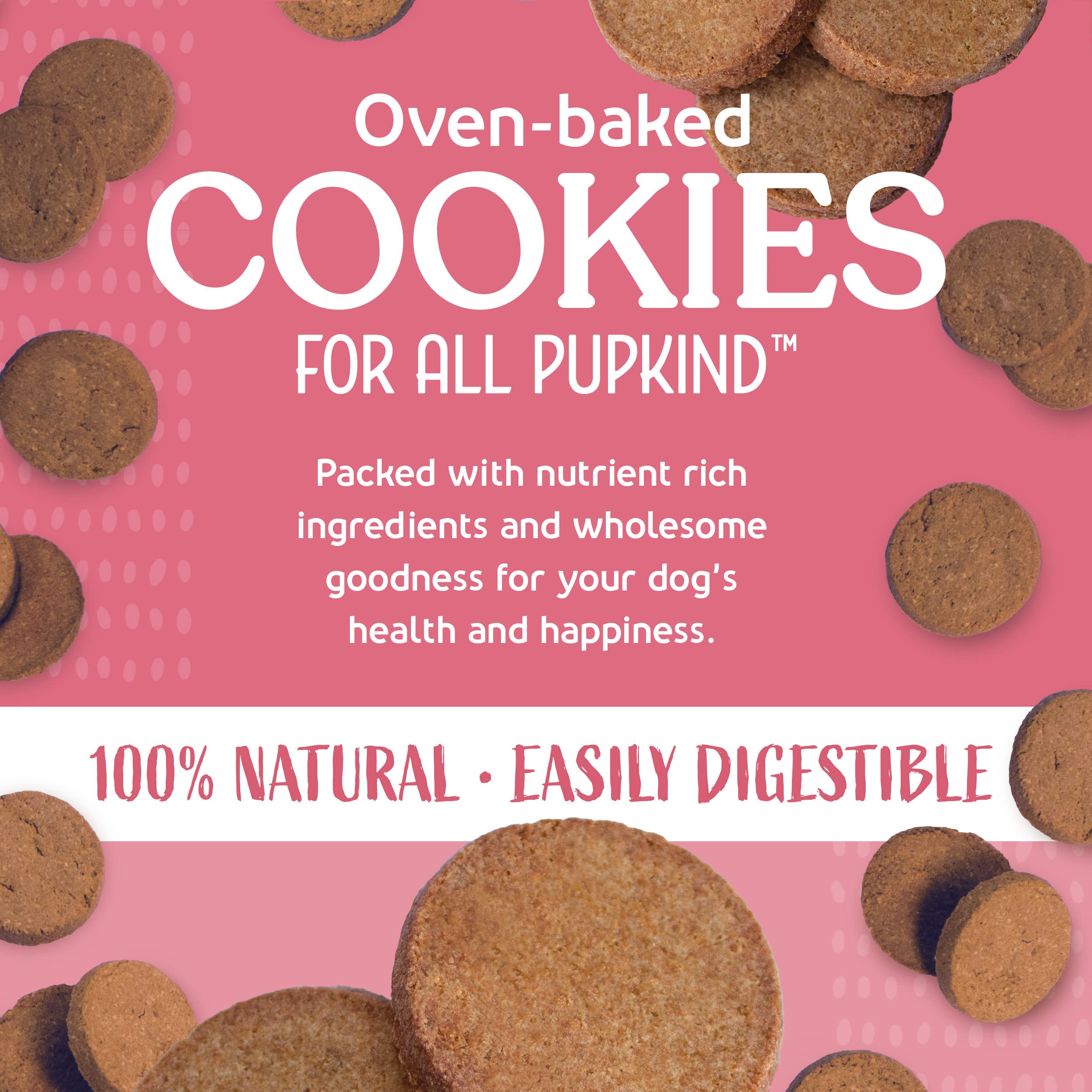 Himalayan Dog Cookies Bacon Bits 14Oz