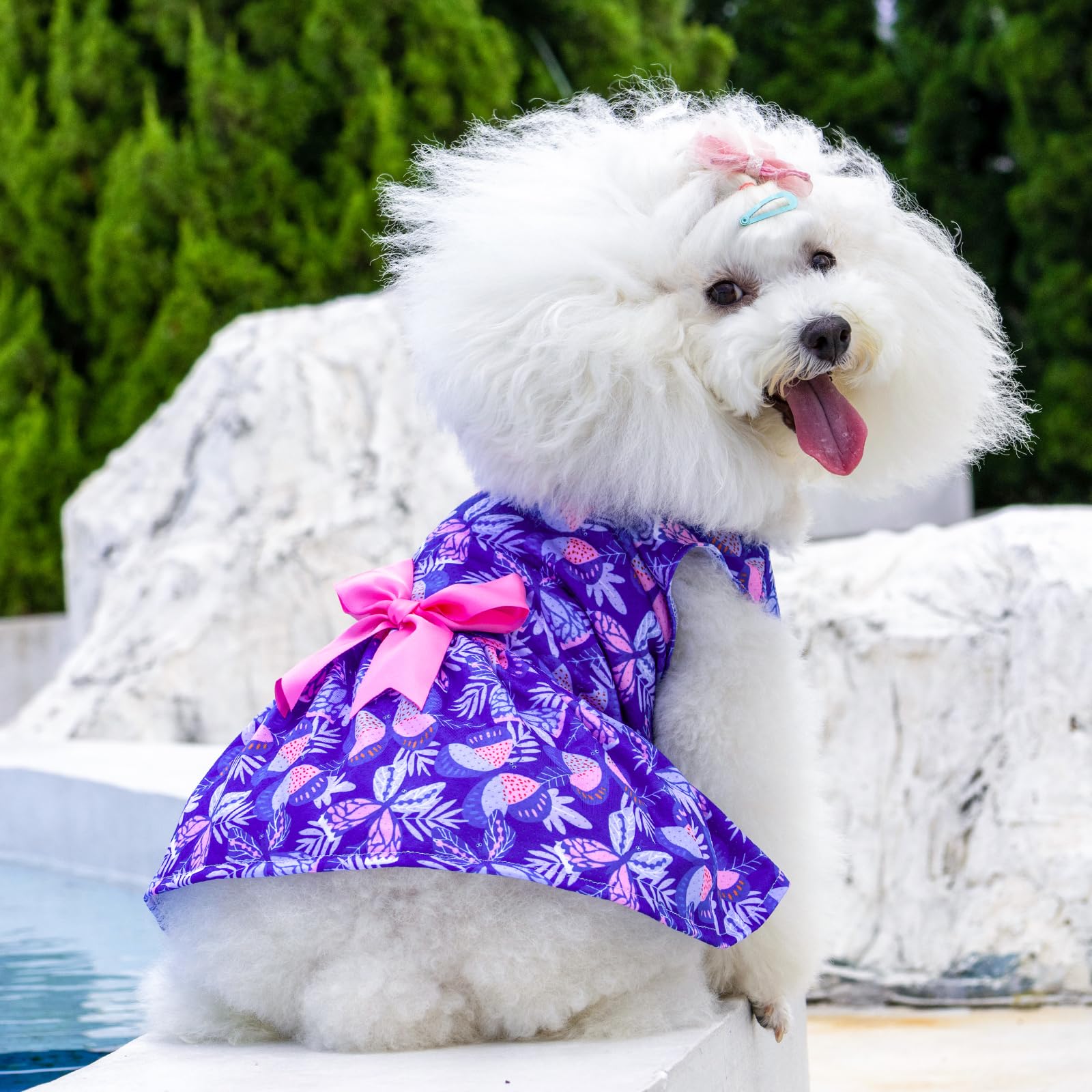 Cutebone Dog Mesh Dress Puppy Sundress Pet Outfit Summer Fashion For Small Dogs Girl Cat Clothes Bf25Xxs