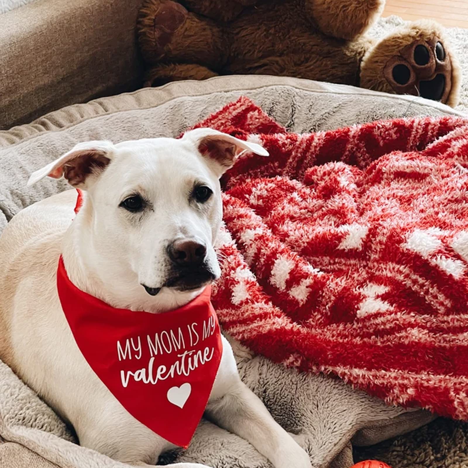 Valentines Day Dog Bandanas - My Mom Is My Valentine Dog Scarf - 2 Pcs Adjustable Party Triangle Reversible Pet Bandanas For Small Medium Large Dogs