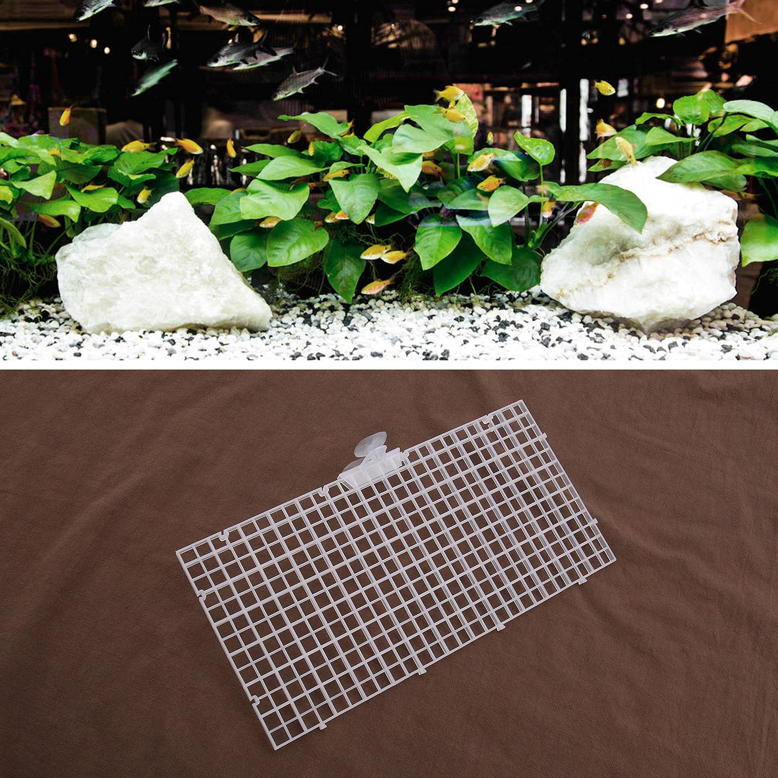 Create idea 10pcs Aquarium Divider Isolation Board Partition Pane Separator Tansparent Mixed Breeding to Keep Different Fish fro