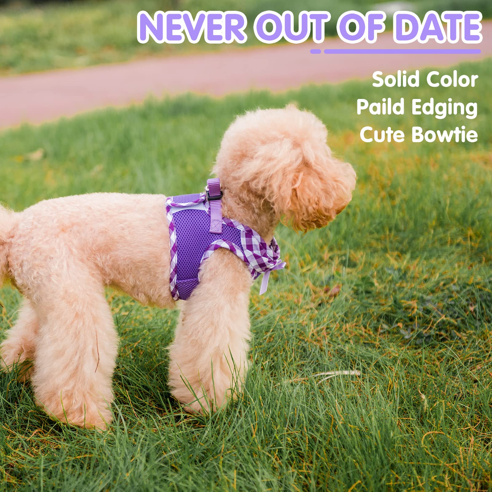 Pupteck Small Dog Harness No Pull Step-In Puppy Cat Harness Soft Mesh For Girls, Purple Xxs