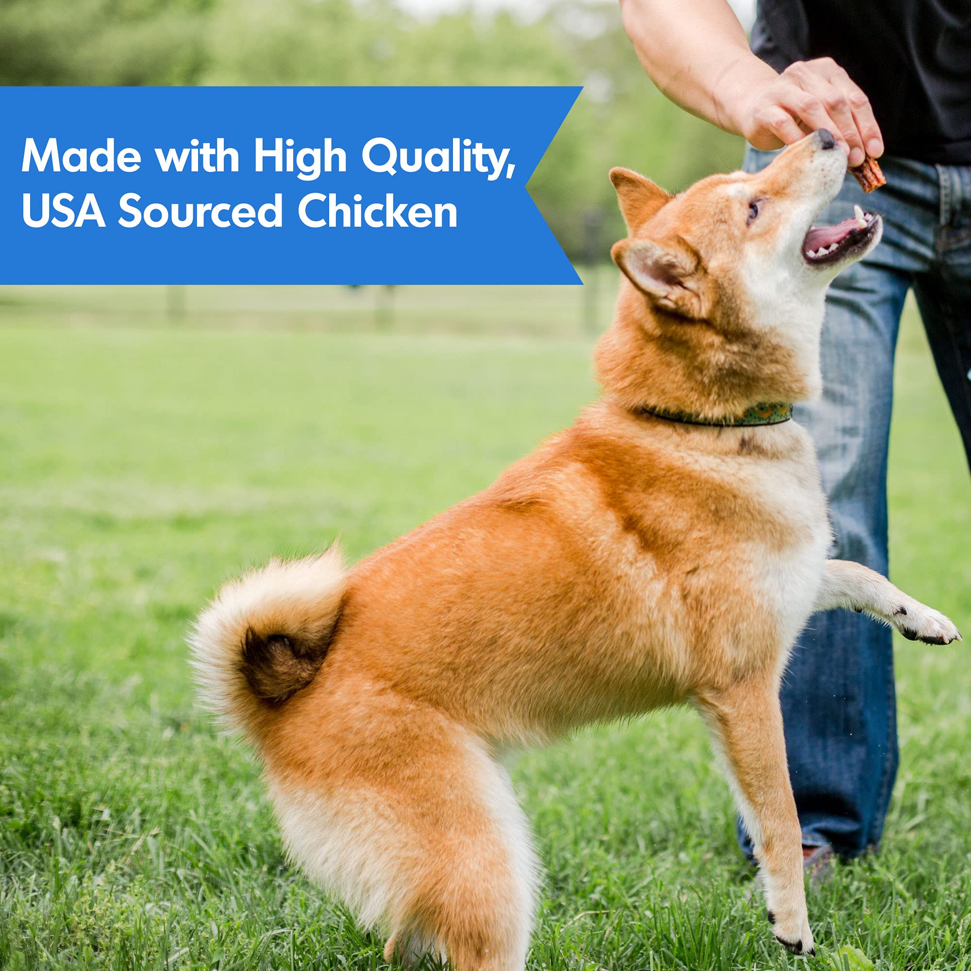 DOGSWELL Immunity & Defense, Flaxseed Oil, Turmeric, Vitamin E & A, Healthy Aging, Chicken Jerky 24 oz. (842197)