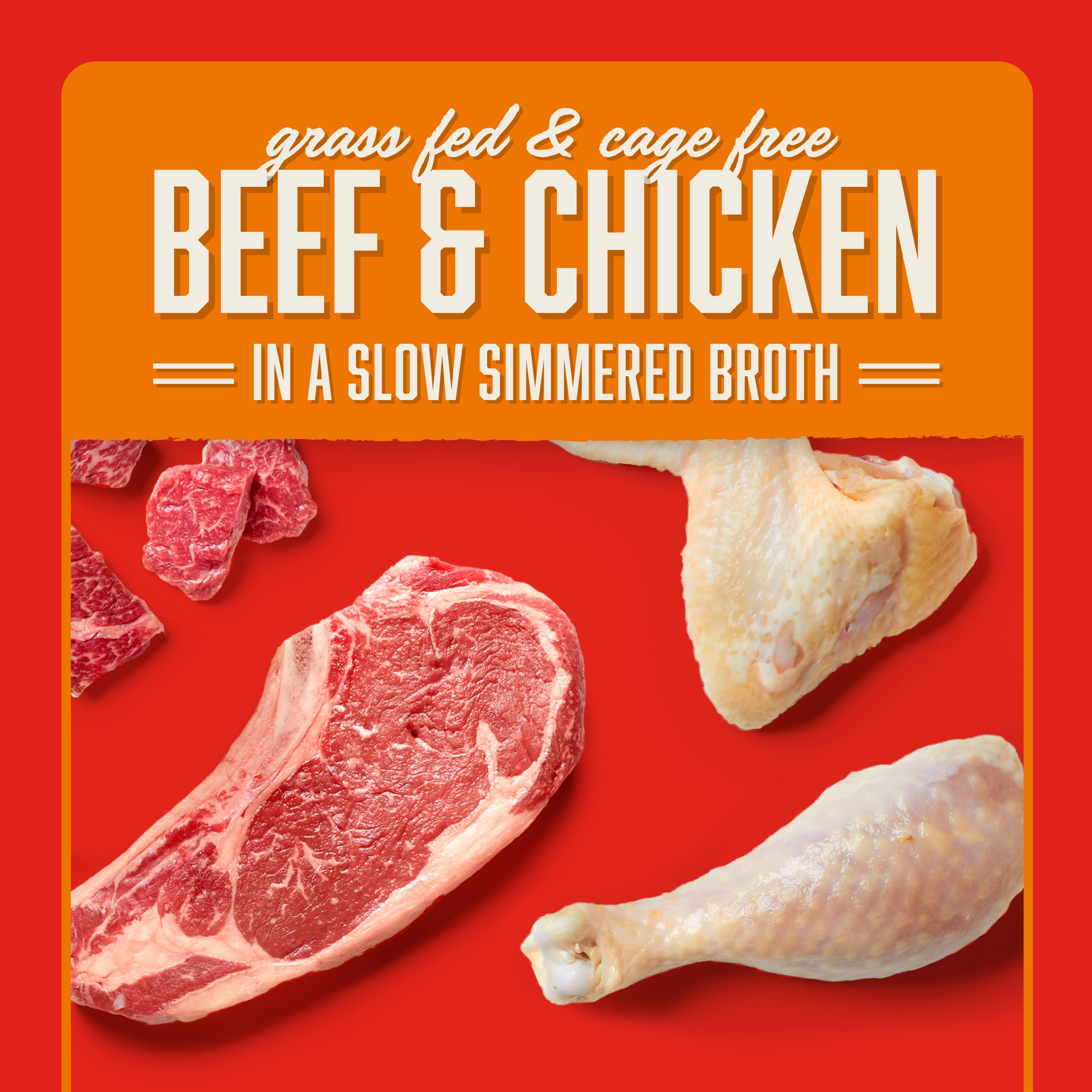 Stella & Chewys Stellas Shredrs Grass Fed & Cage Free Beef & Chicken Recipe in Broth, 2.8 oz. Pouches (Pack of 24)