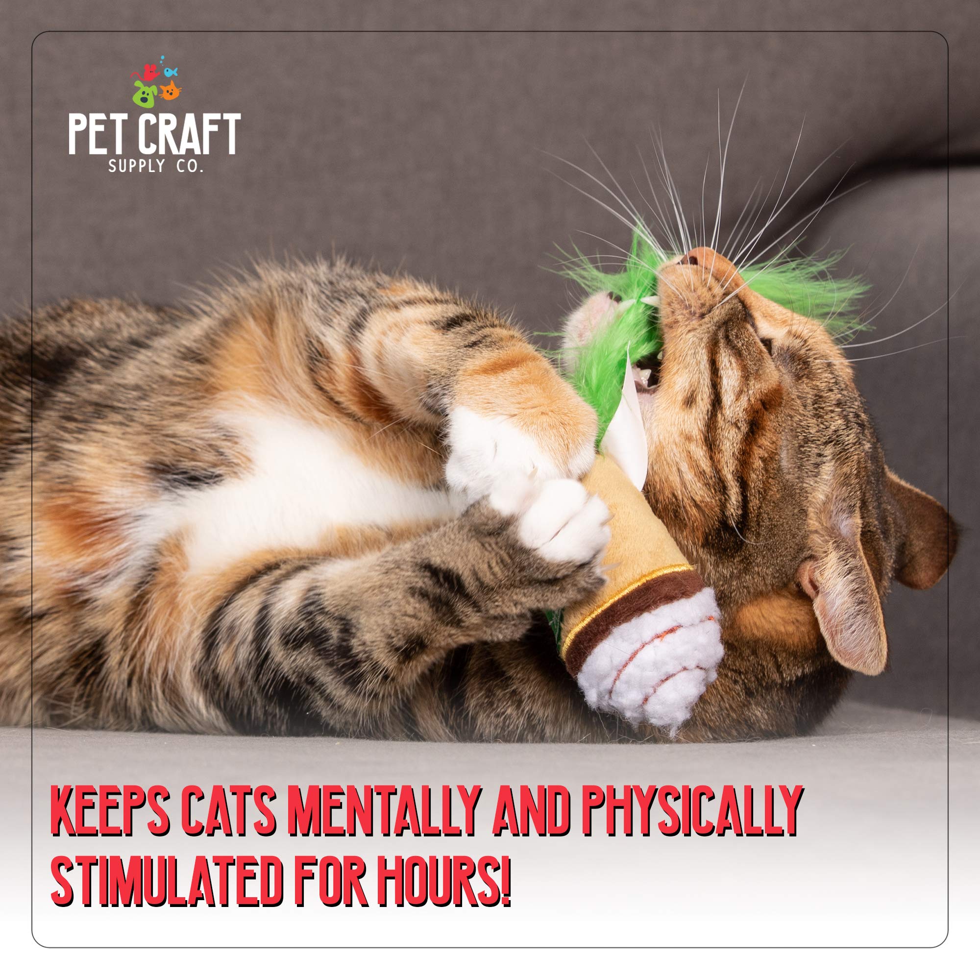 Pet Craft Supply Silly Snacks and Funny Food Crinkle Cuddling Catnip and Silvervine Interactive Cat Toys - Great for Indoor Cats