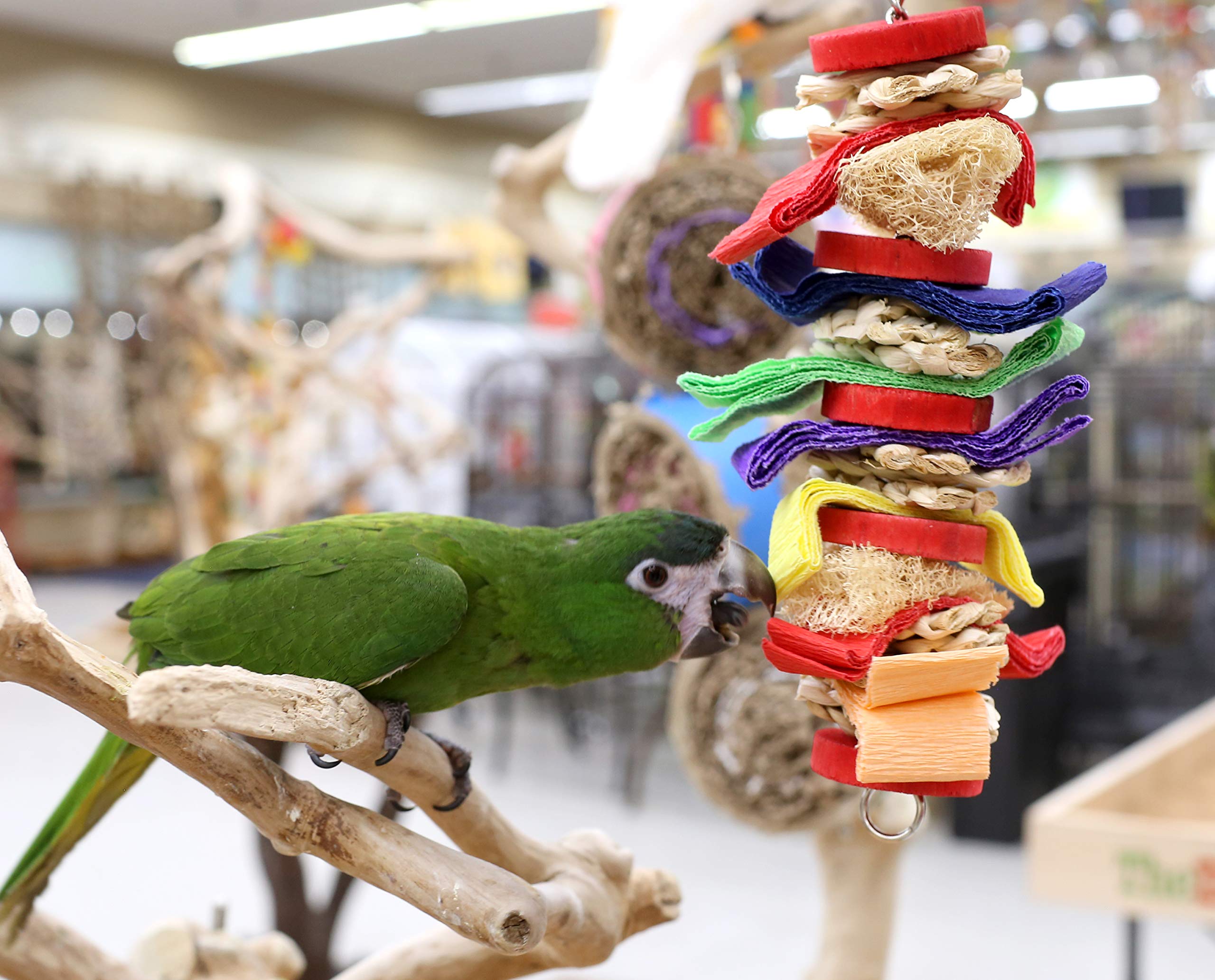Loofah Drizzle Shreddable Medium Parrot Toy