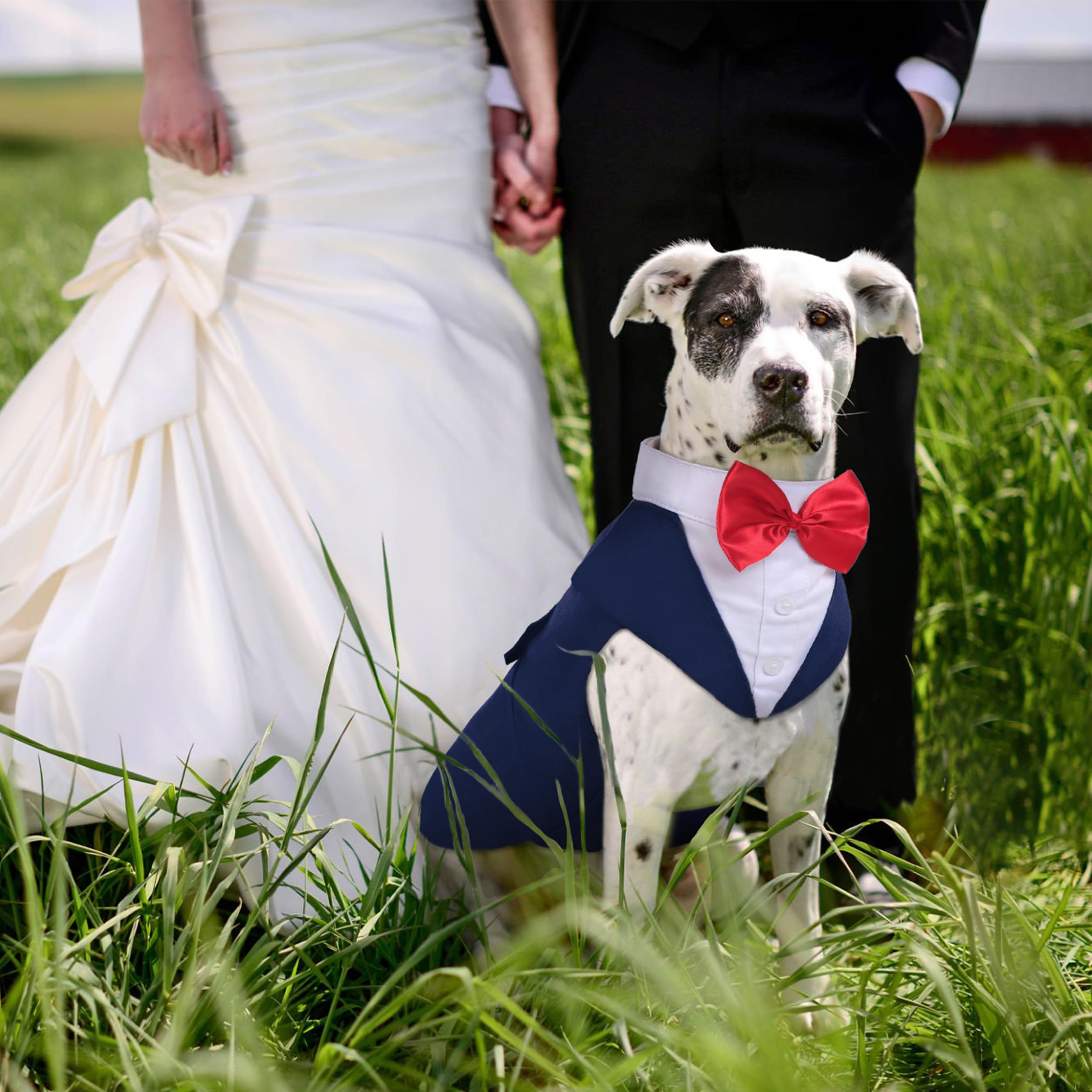 Pumyporeity Dog Tuxedo, Cotton, Navy Blue, X-Large (Pack Of 1), Formal Attire For Weddings, Birthdays, Christmas, Valentines