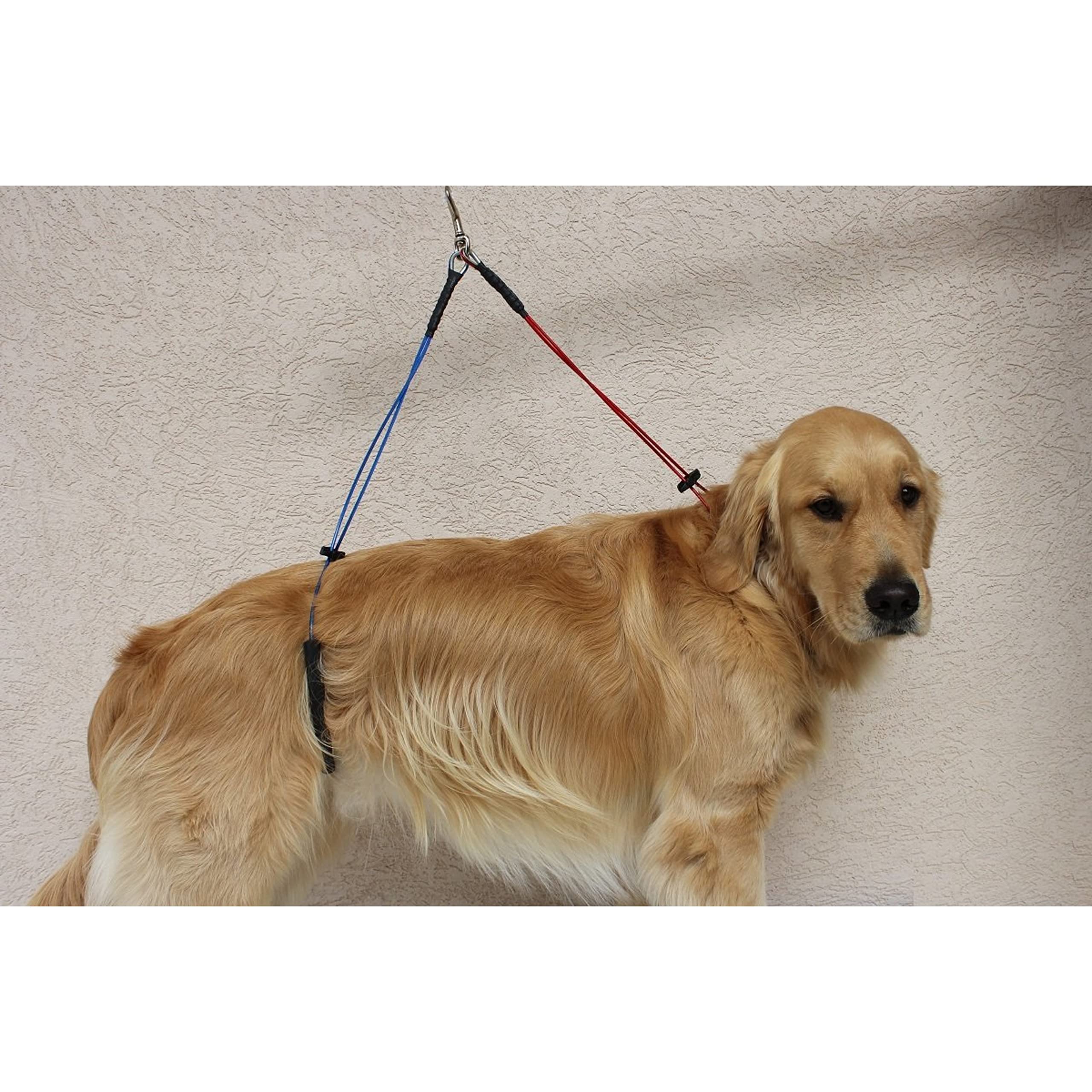 Downtown Pet Supply No Sit Haunch Holder For Dog Grooming Arm And Pet Grooming Table - Dog Grooming Supplies - Stainless Steel Hardware, Rust & Chew Resistant - 19 & 21In - Small/Medium (Haunch Only)