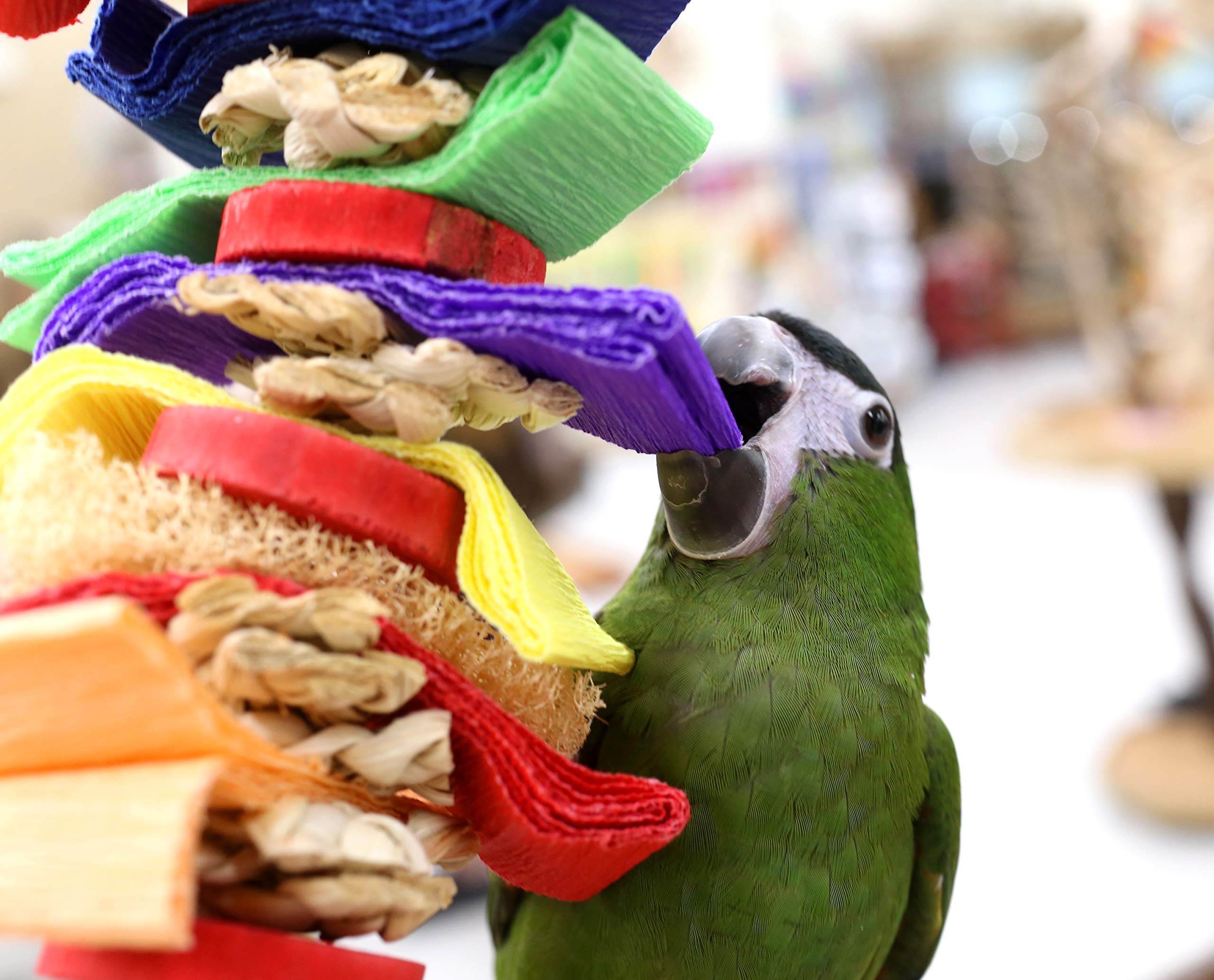 Loofah Drizzle Shreddable Medium Parrot Toy