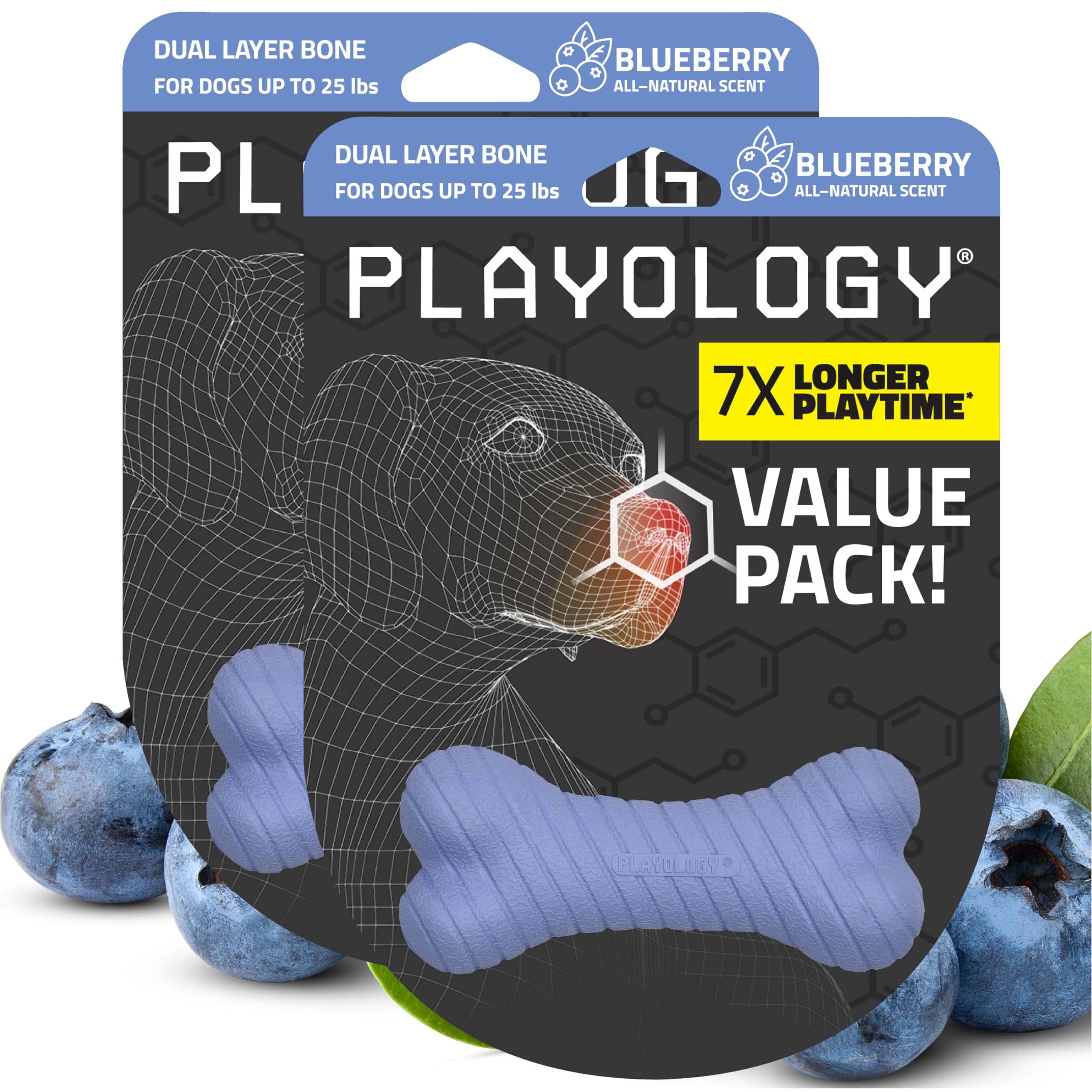 Playology Dog Toys | Dual Layer Bone Durable Chew Toy Bone for Dogs (Value 2-Pack) | Small Blueberry Scented Toy - Easy to Clean
